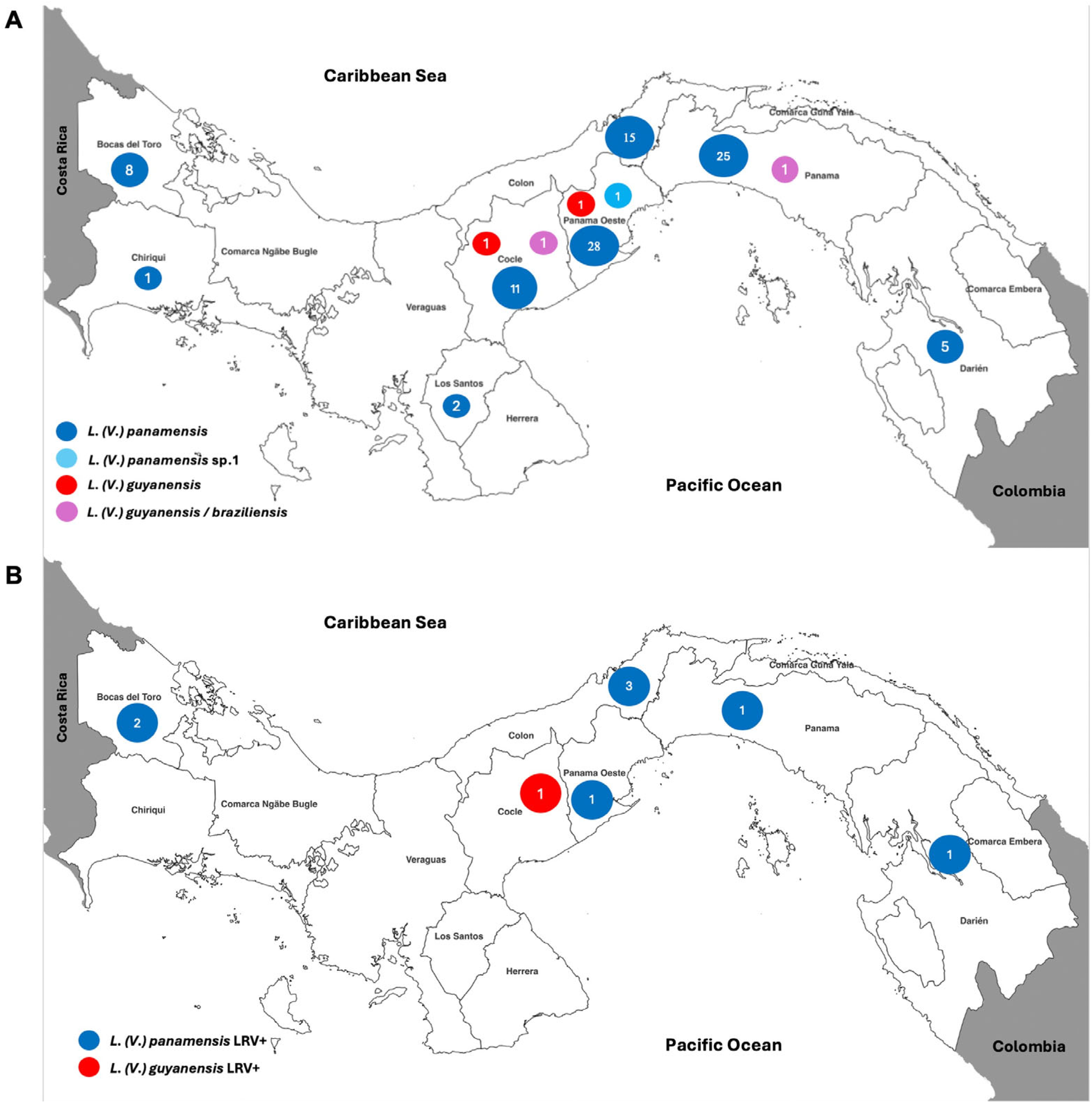 Microorganisms 12 01317 g001