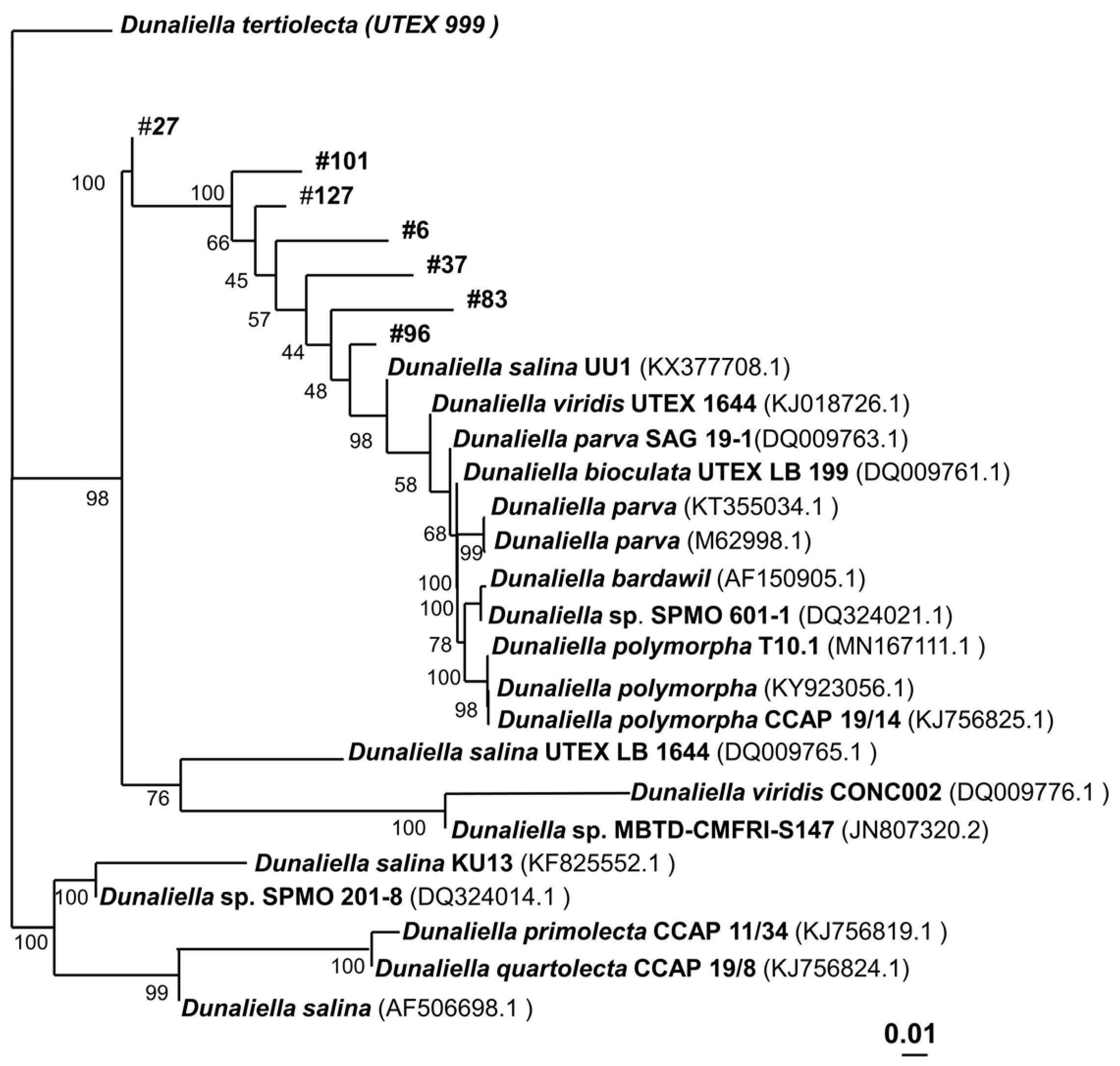 Microorganisms 12 01318 g002