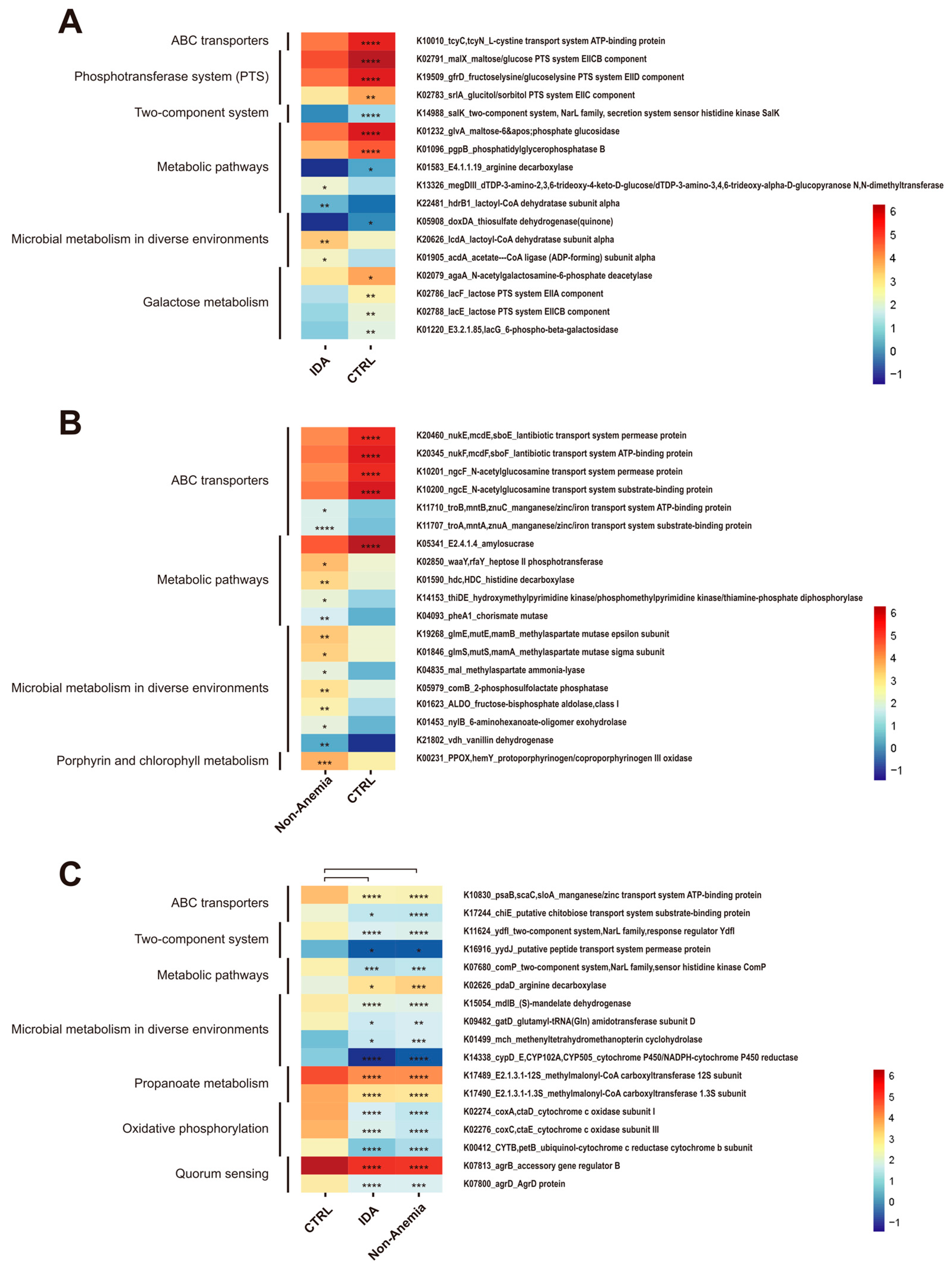 Microorganisms 12 01319 g004