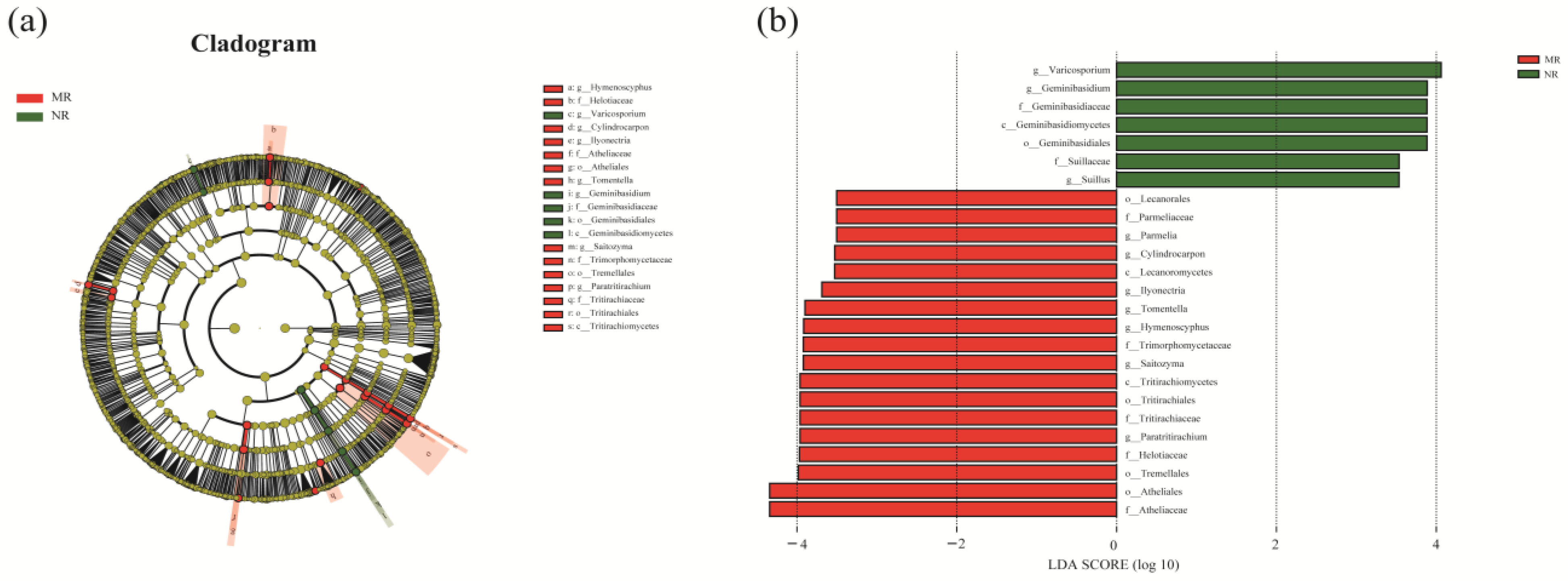 Microorganisms 12 01322 g005 Microorganisms 12 01322 g005