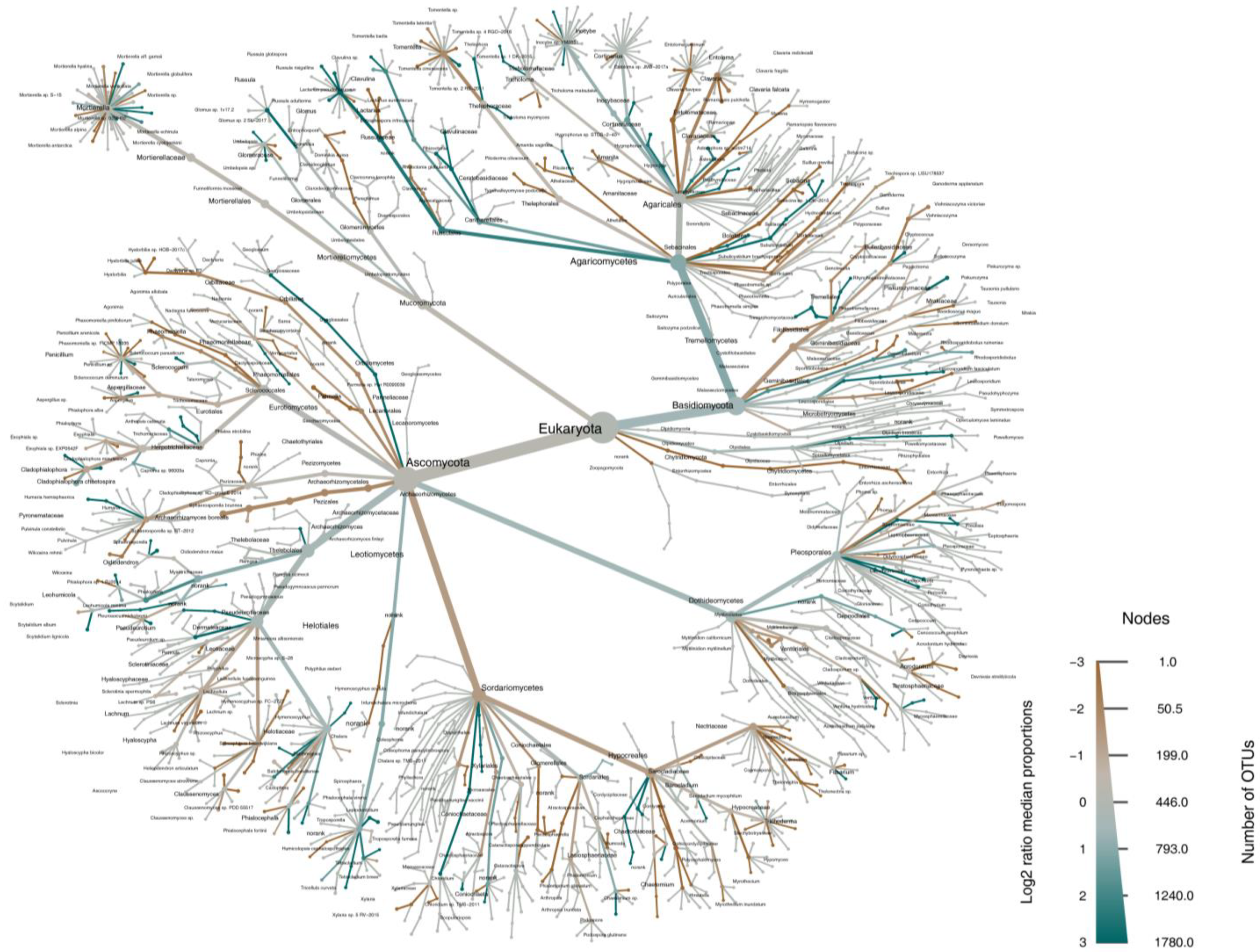 Microorganisms 12 01322 g006 Microorganisms 12 01322 g006