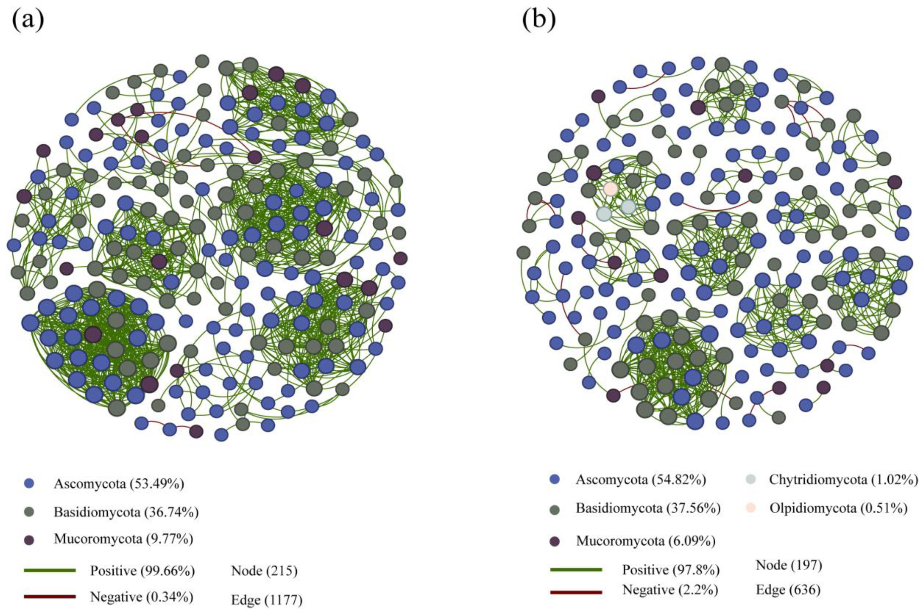 Microorganisms 12 01322 g007 Microorganisms 12 01322 g007
