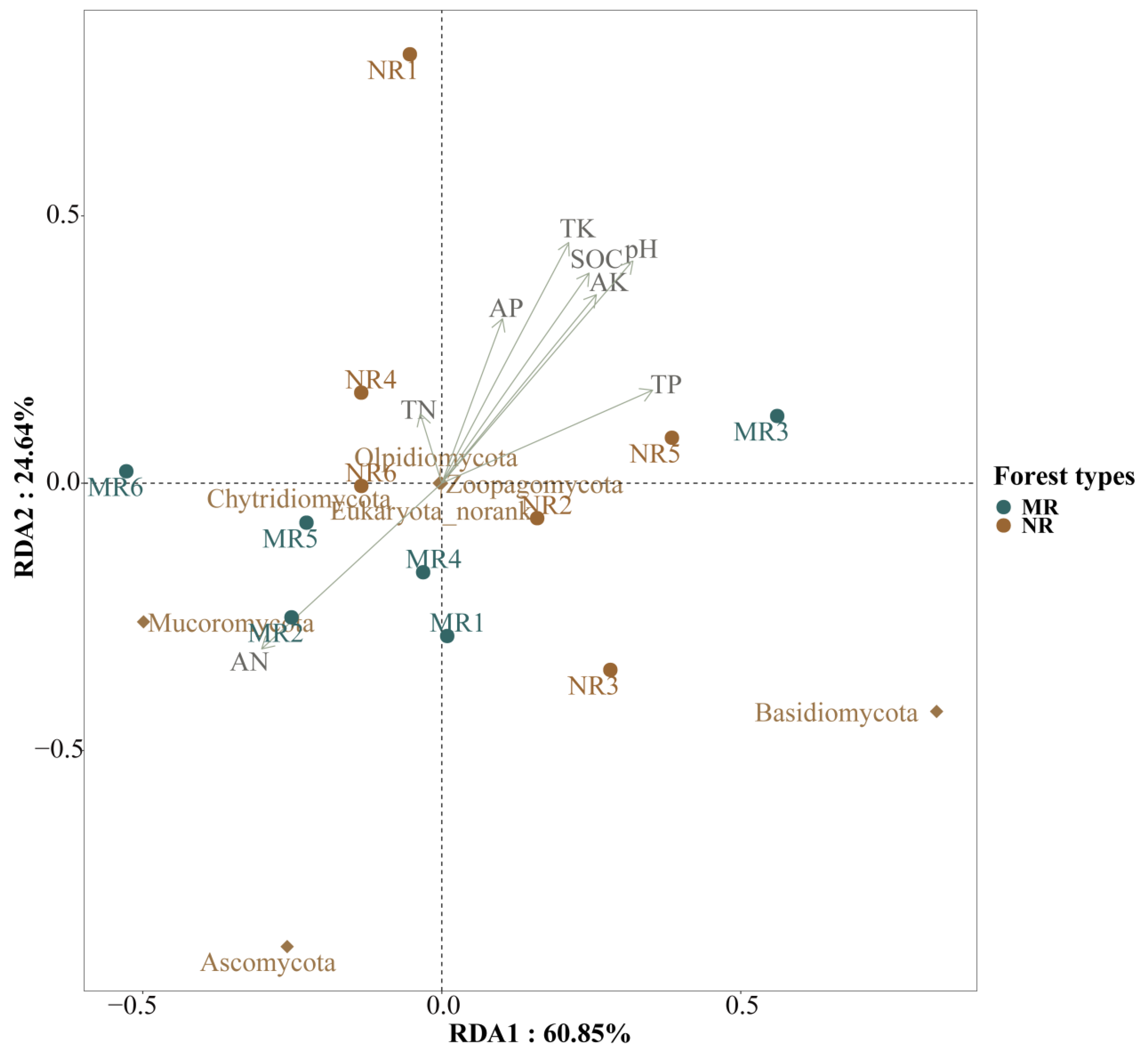 Microorganisms 12 01322 g010 Microorganisms 12 01322 g010