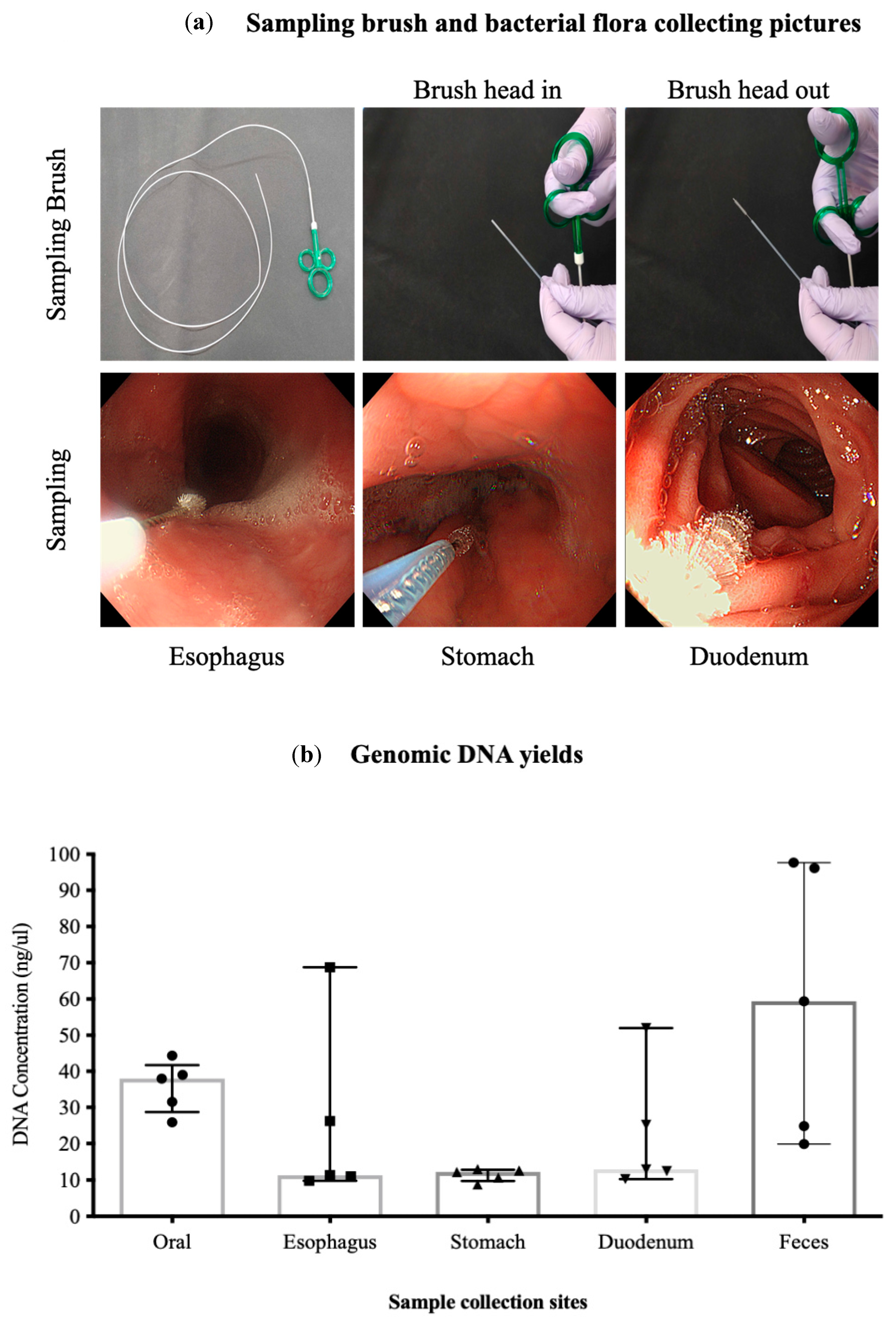 Microorganisms 12 01324 g001a