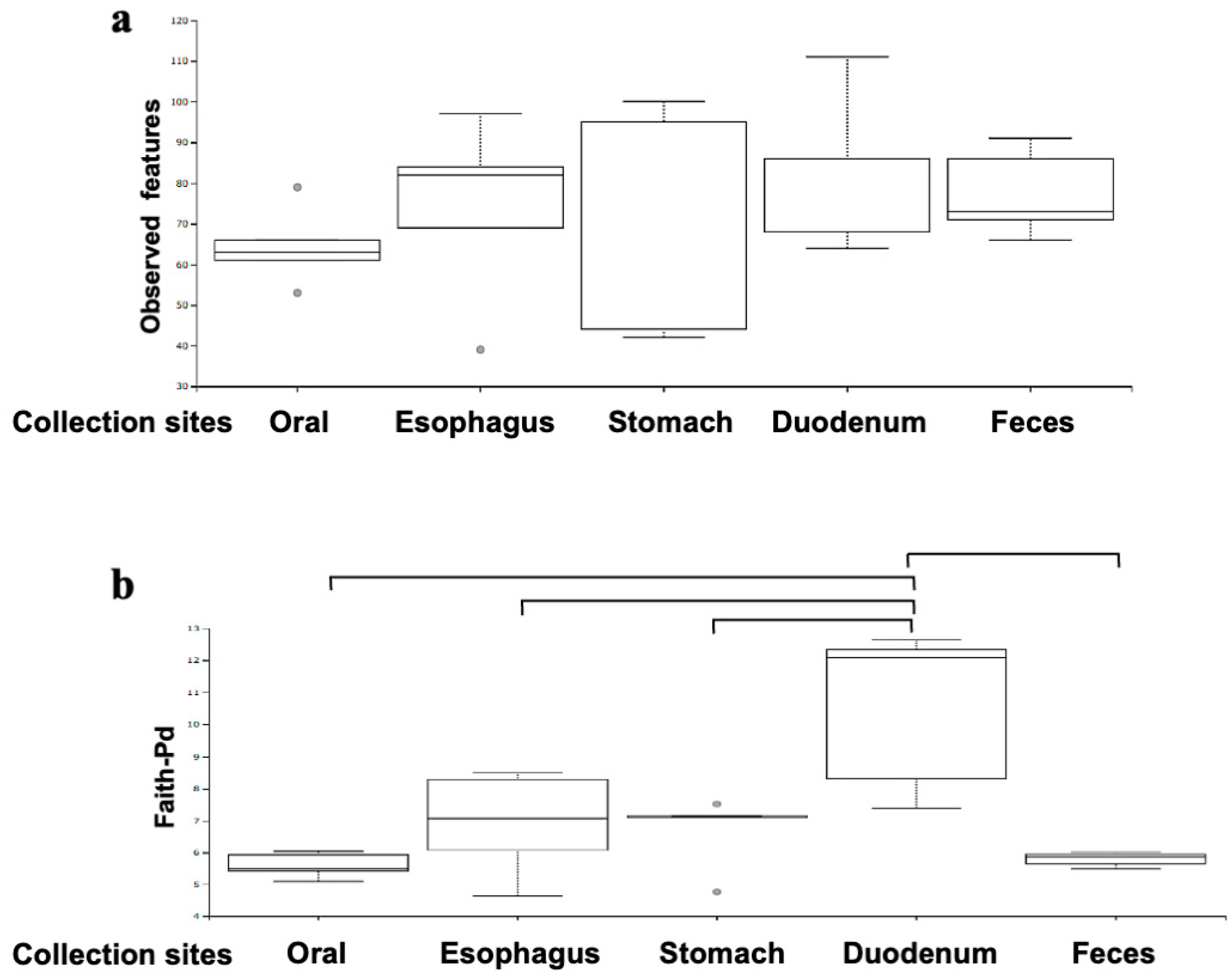 Microorganisms 12 01324 g004