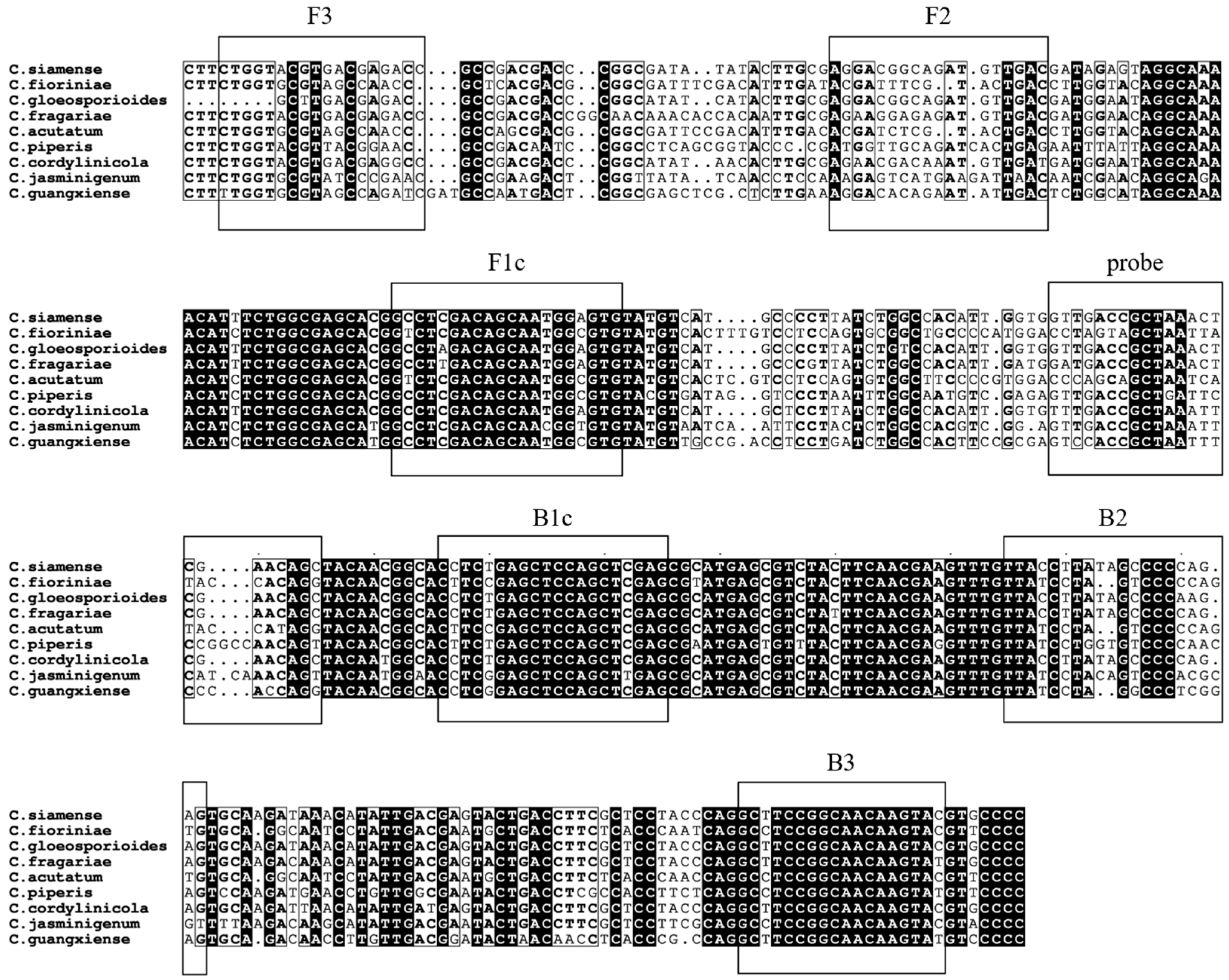Microorganisms 12 01325 g001