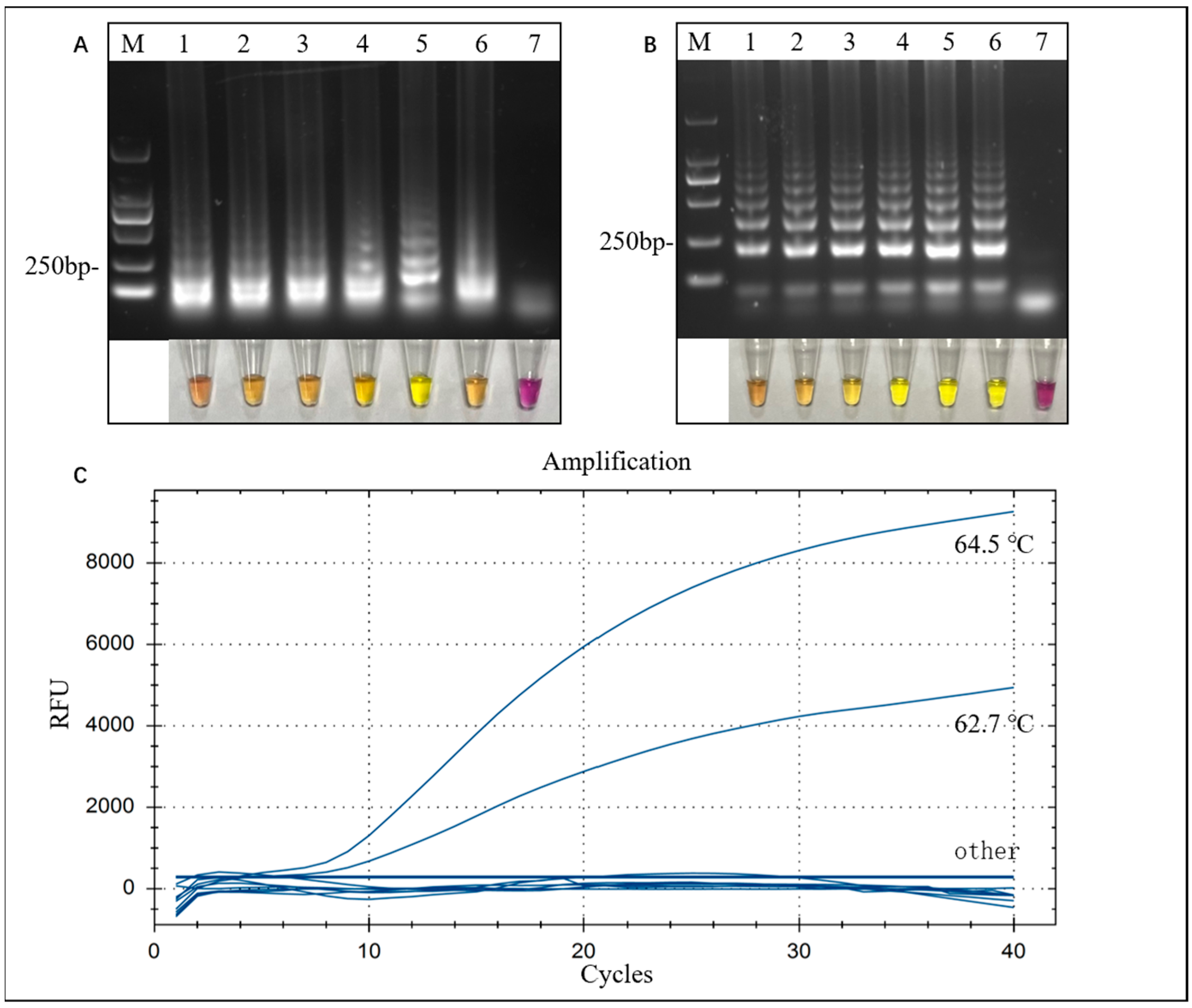Microorganisms 12 01325 g002