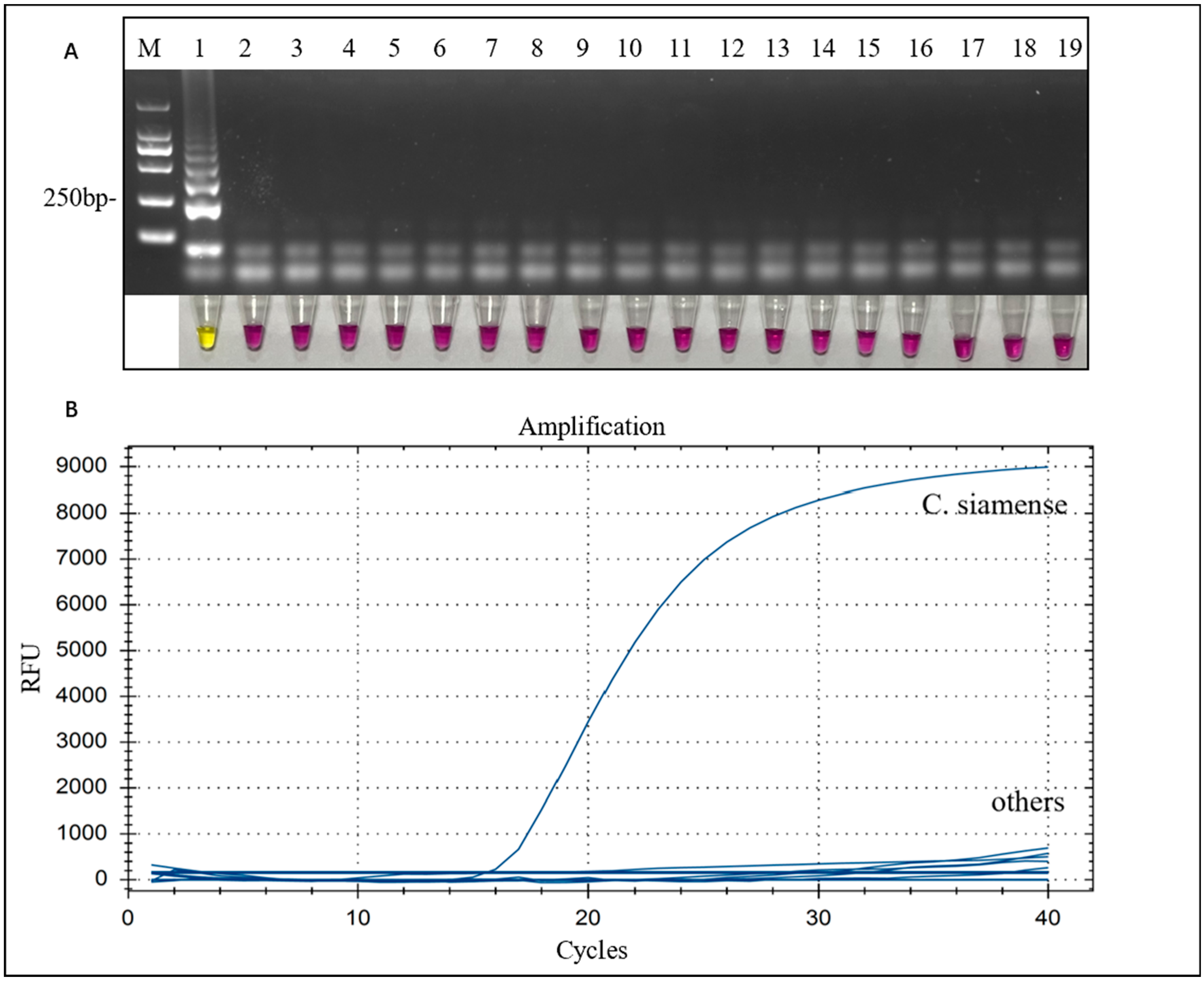 Microorganisms 12 01325 g003