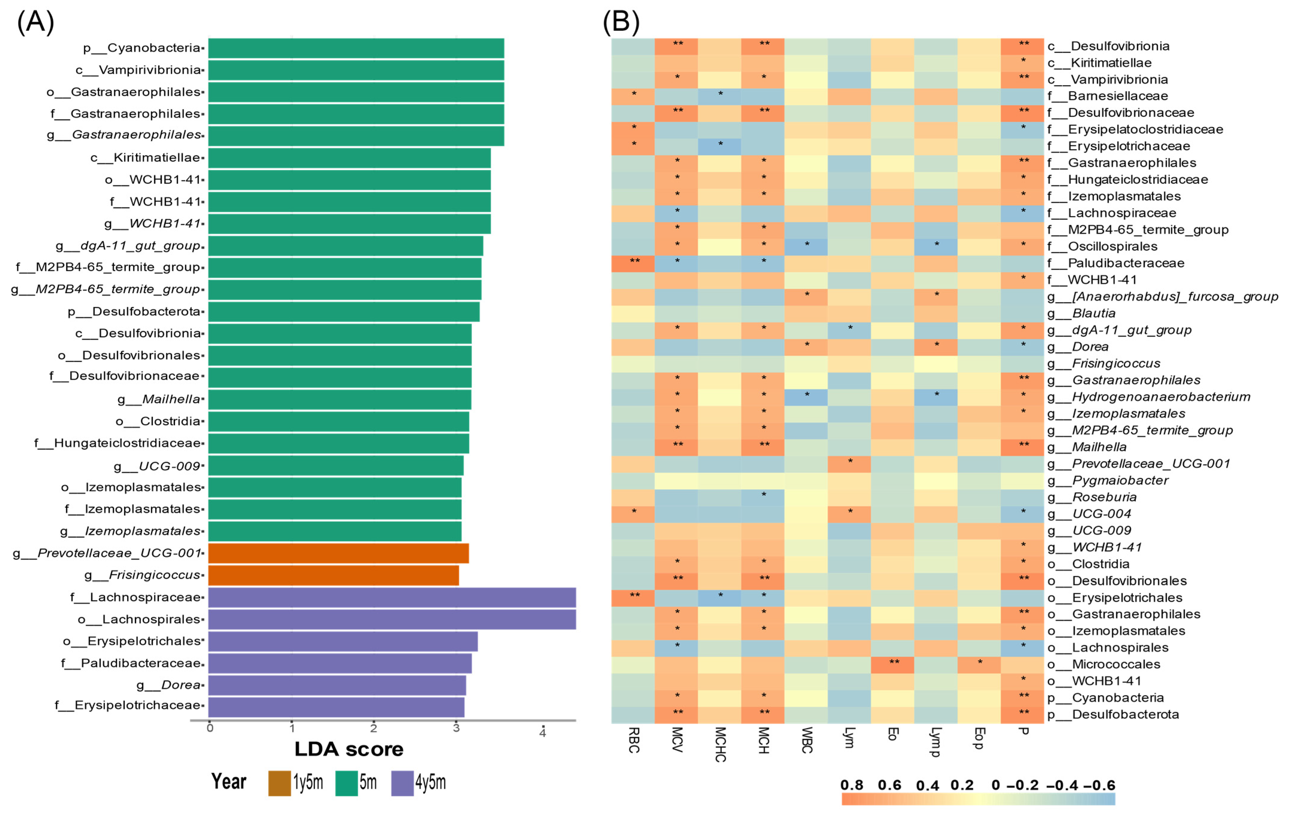 Microorganisms 12 01331 g004