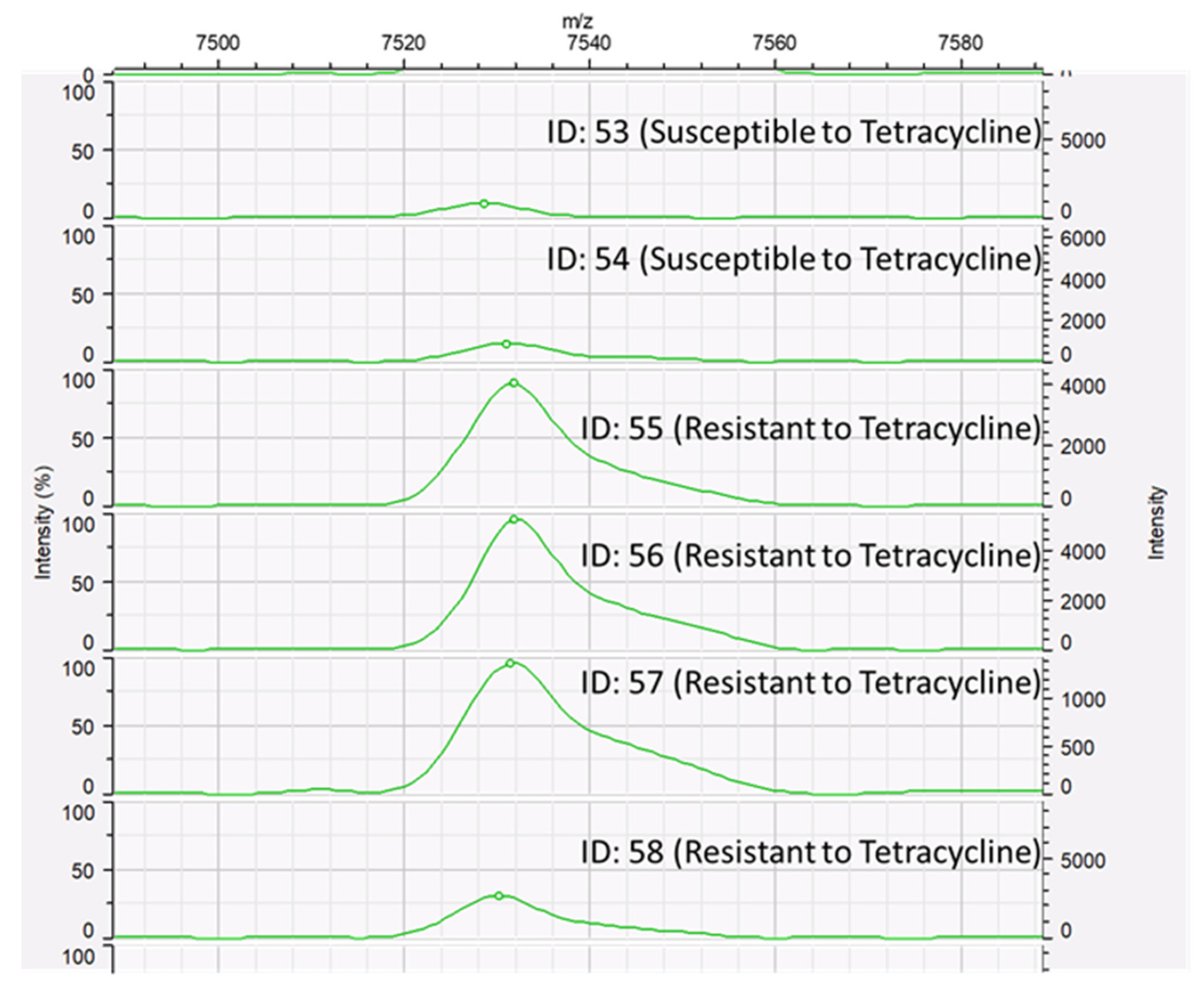 Microorganisms 12 01332 g005