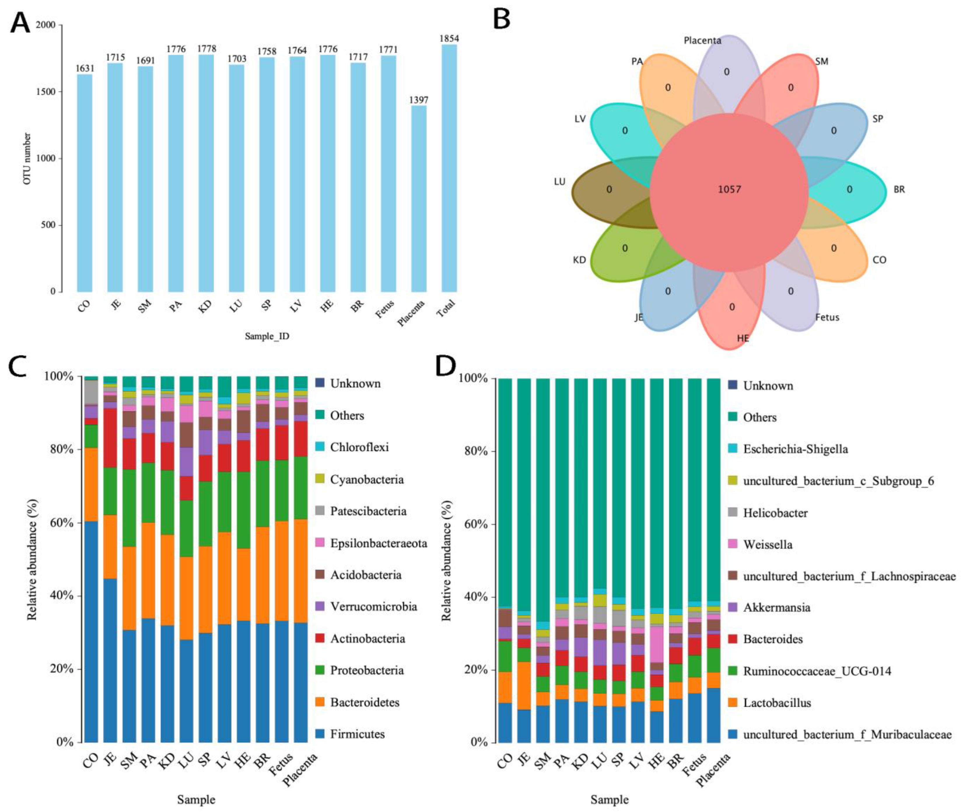 Microorganisms 12 01333 g007
