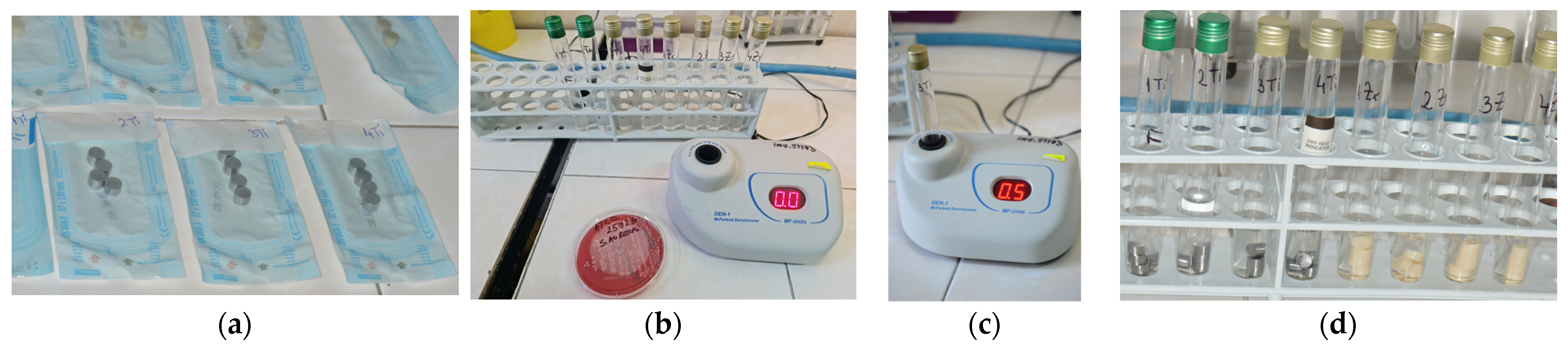 Microorganisms 12 01345 g001