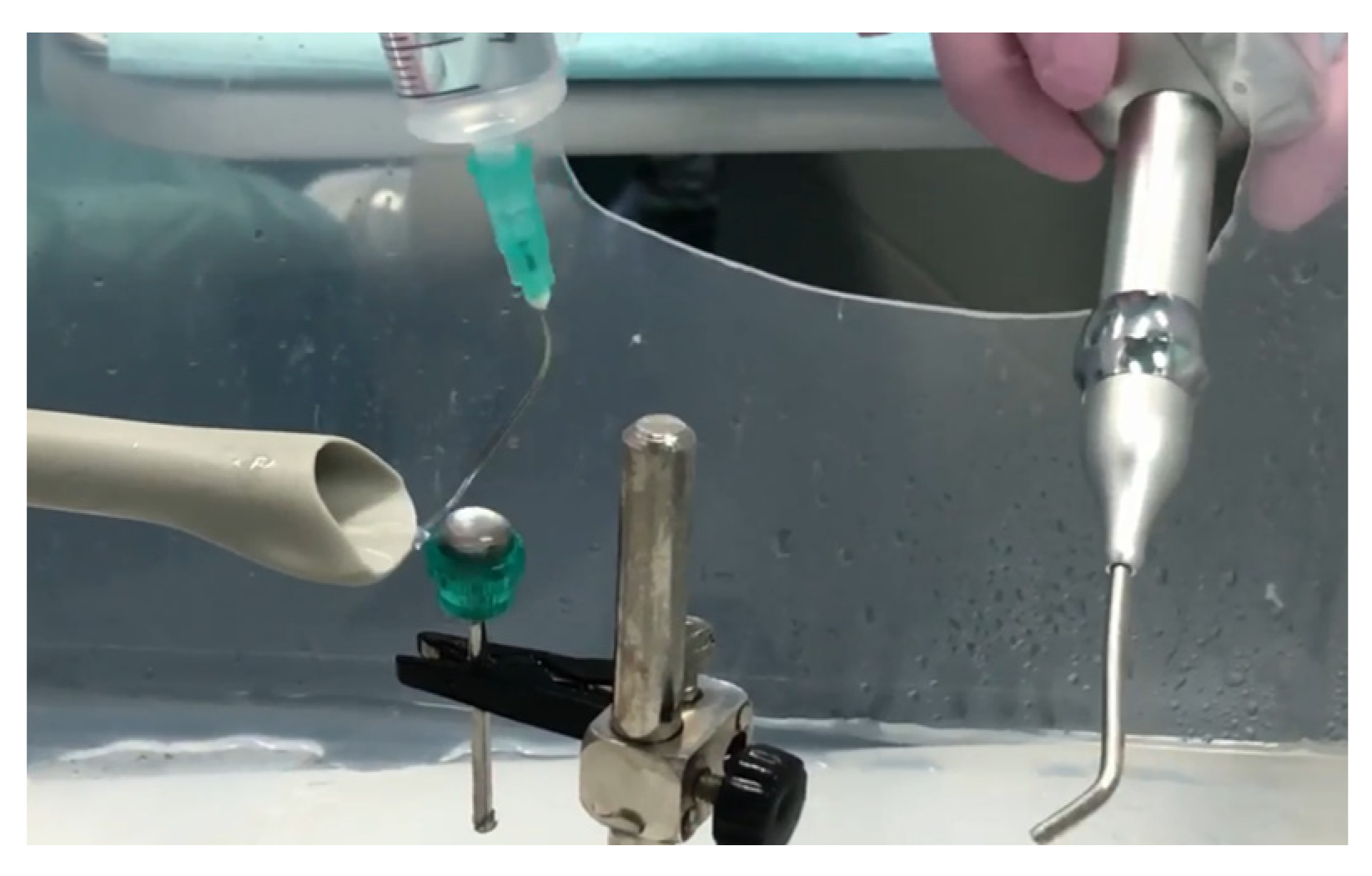 Microorganisms 12 01345 g002