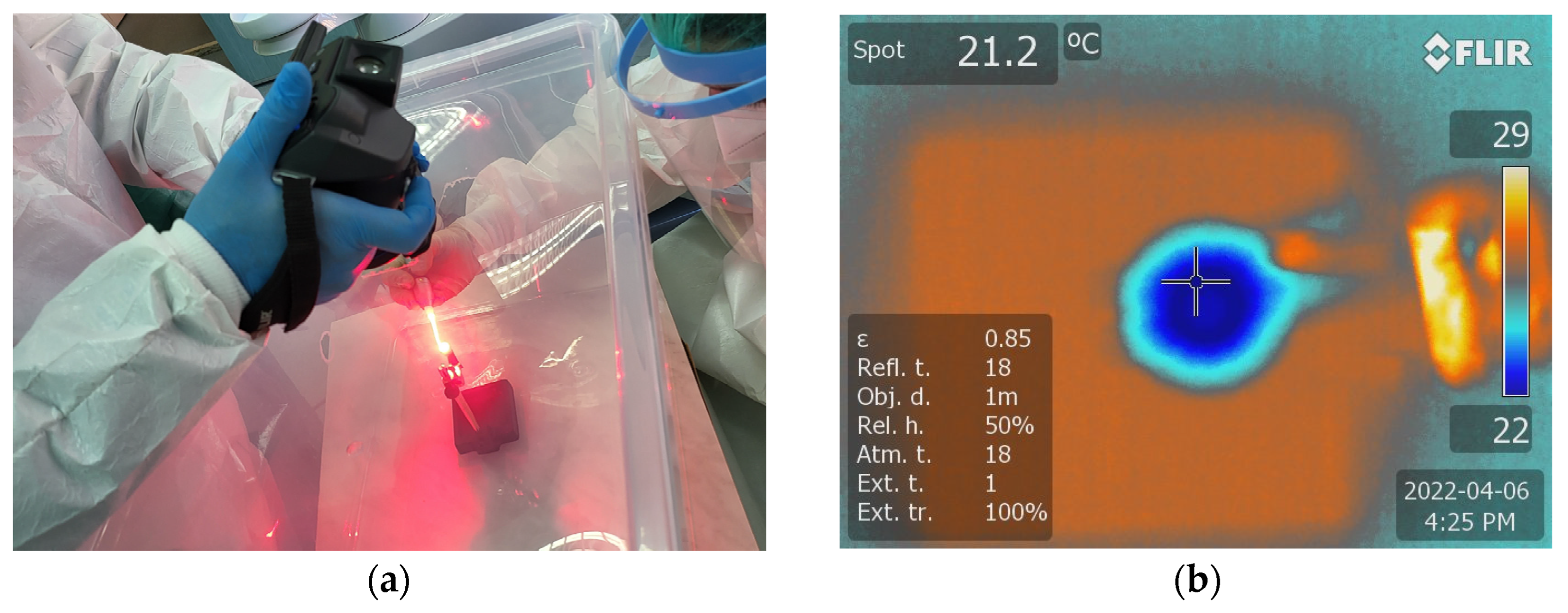 Microorganisms 12 01345 g005