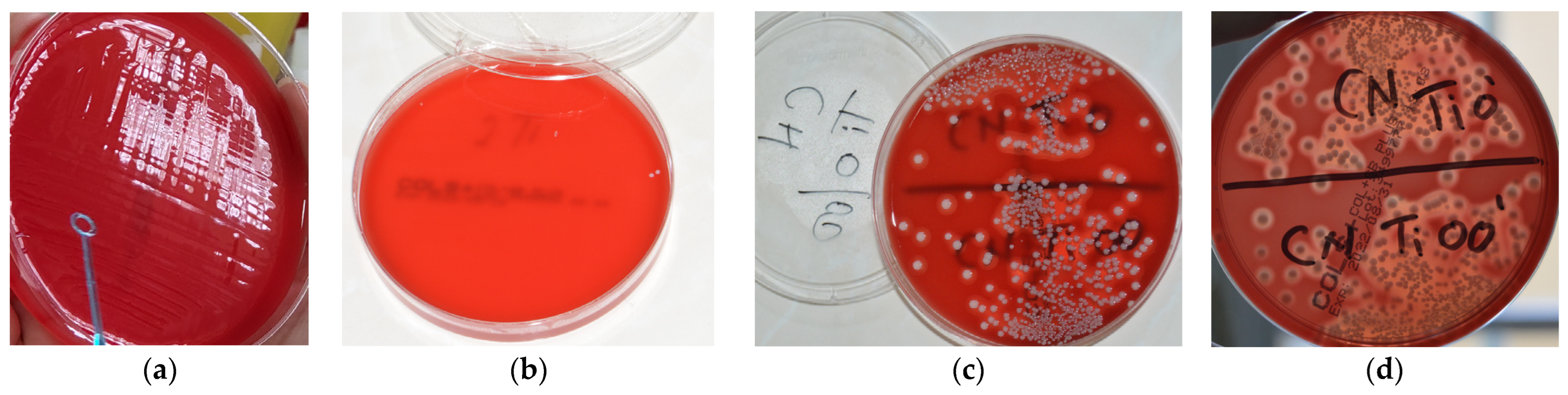Microorganisms 12 01345 g007