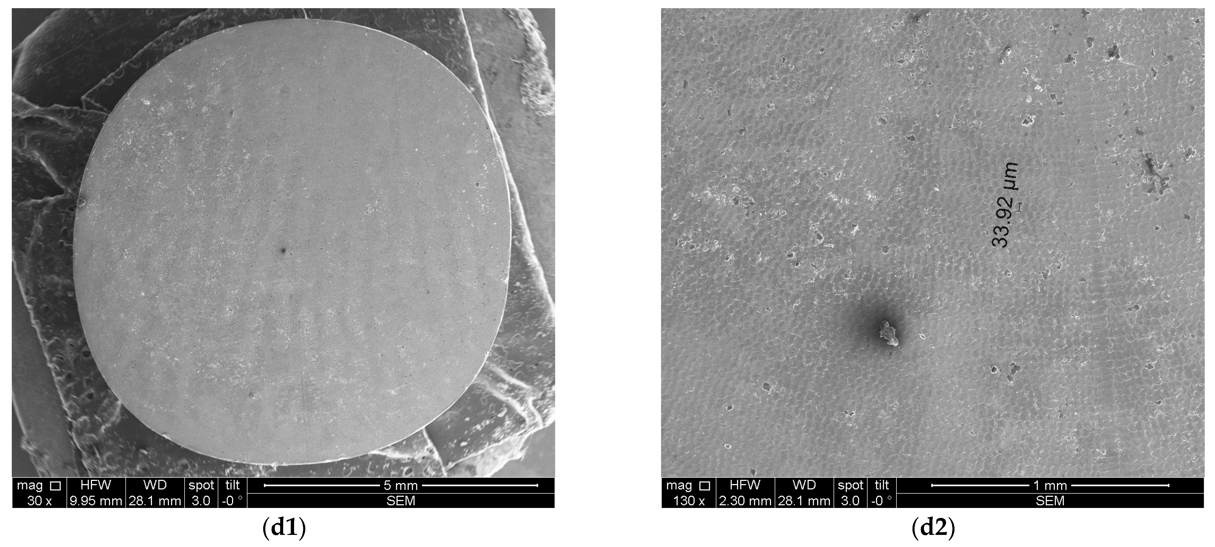 Microorganisms 12 01345 g008b