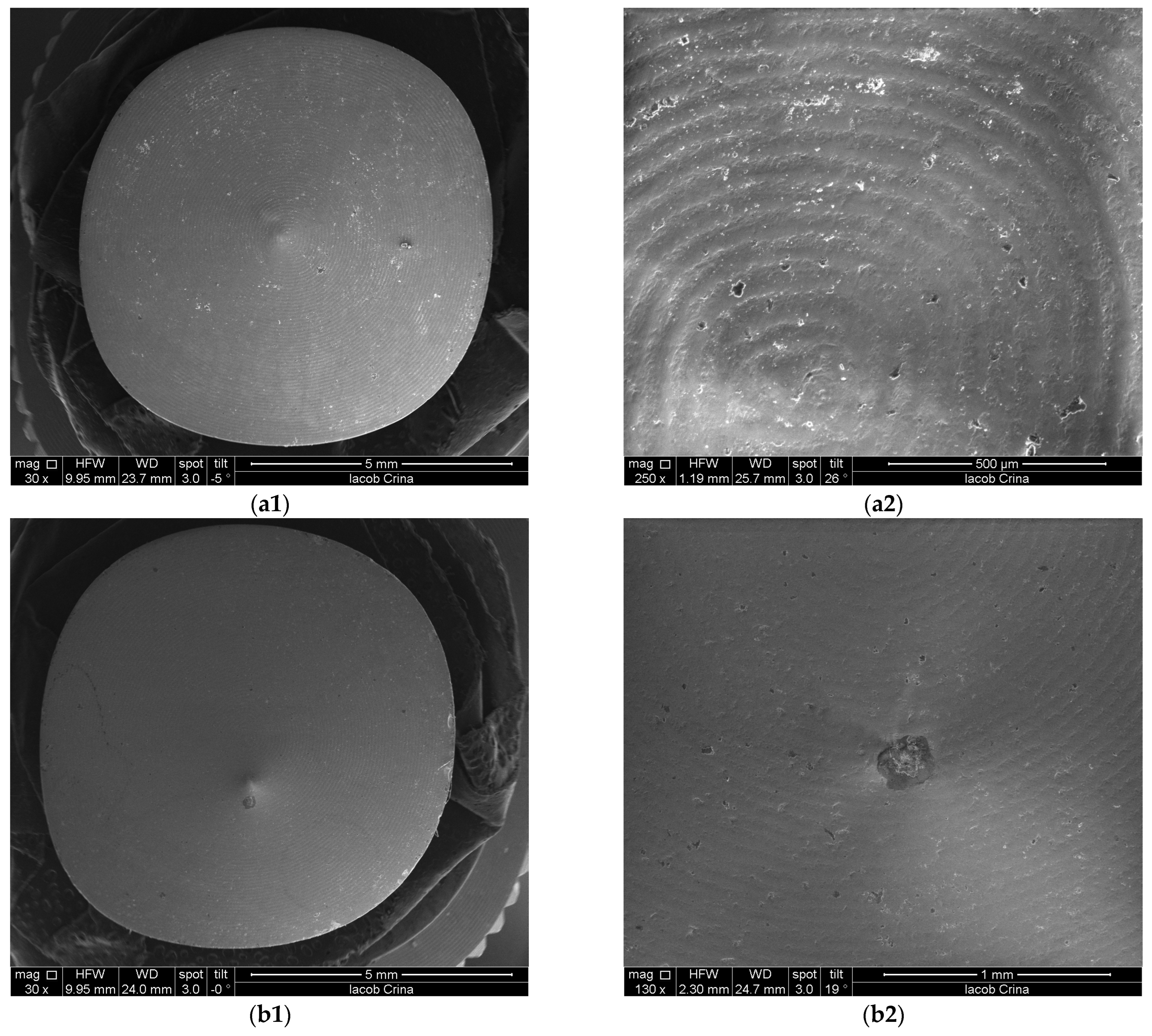 Microorganisms 12 01345 g009a