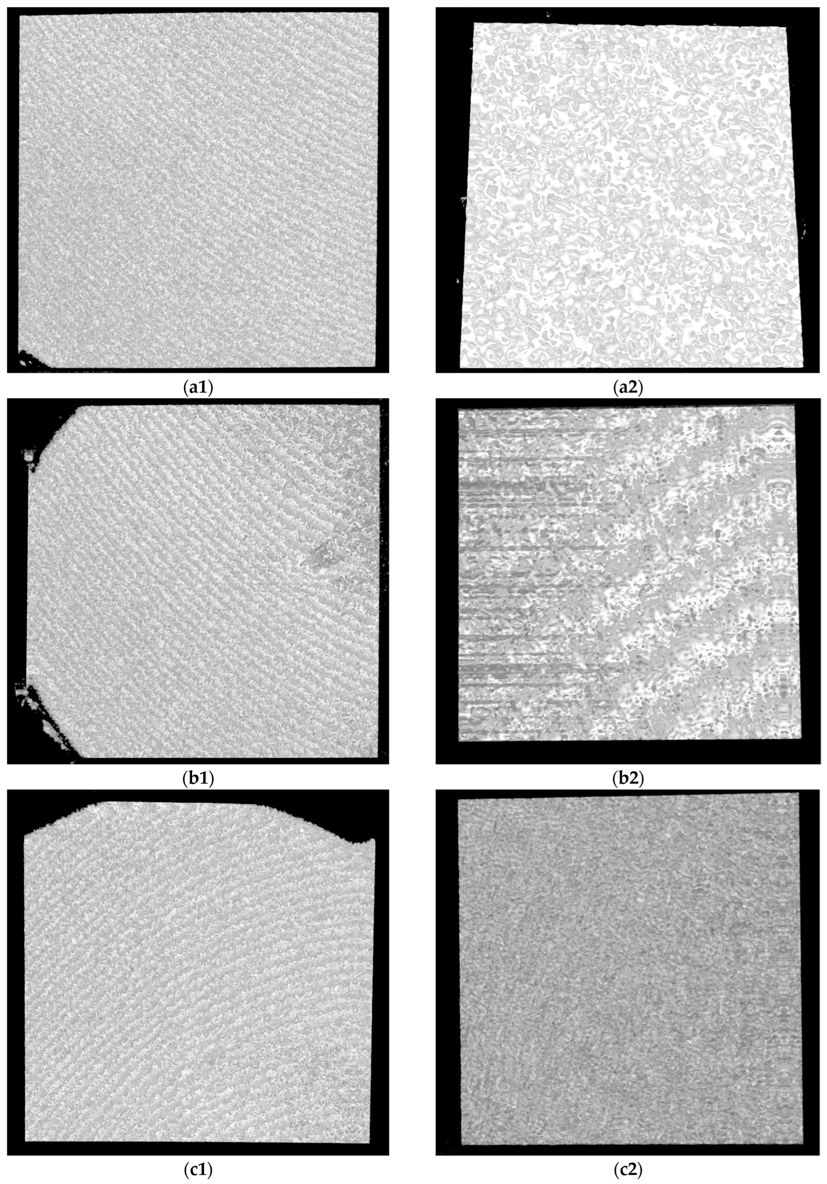 Microorganisms 12 01345 g010a