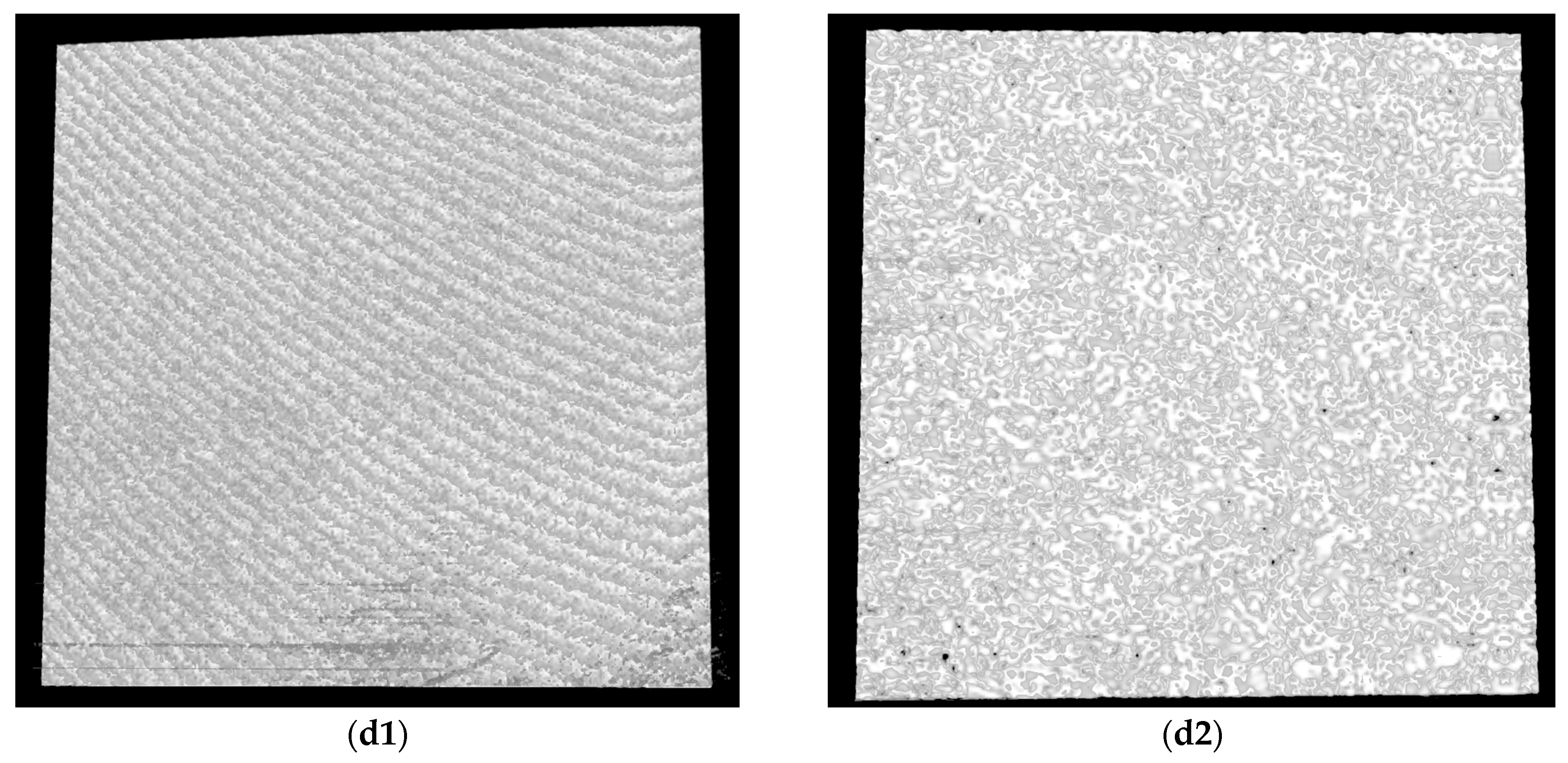 Microorganisms 12 01345 g010b