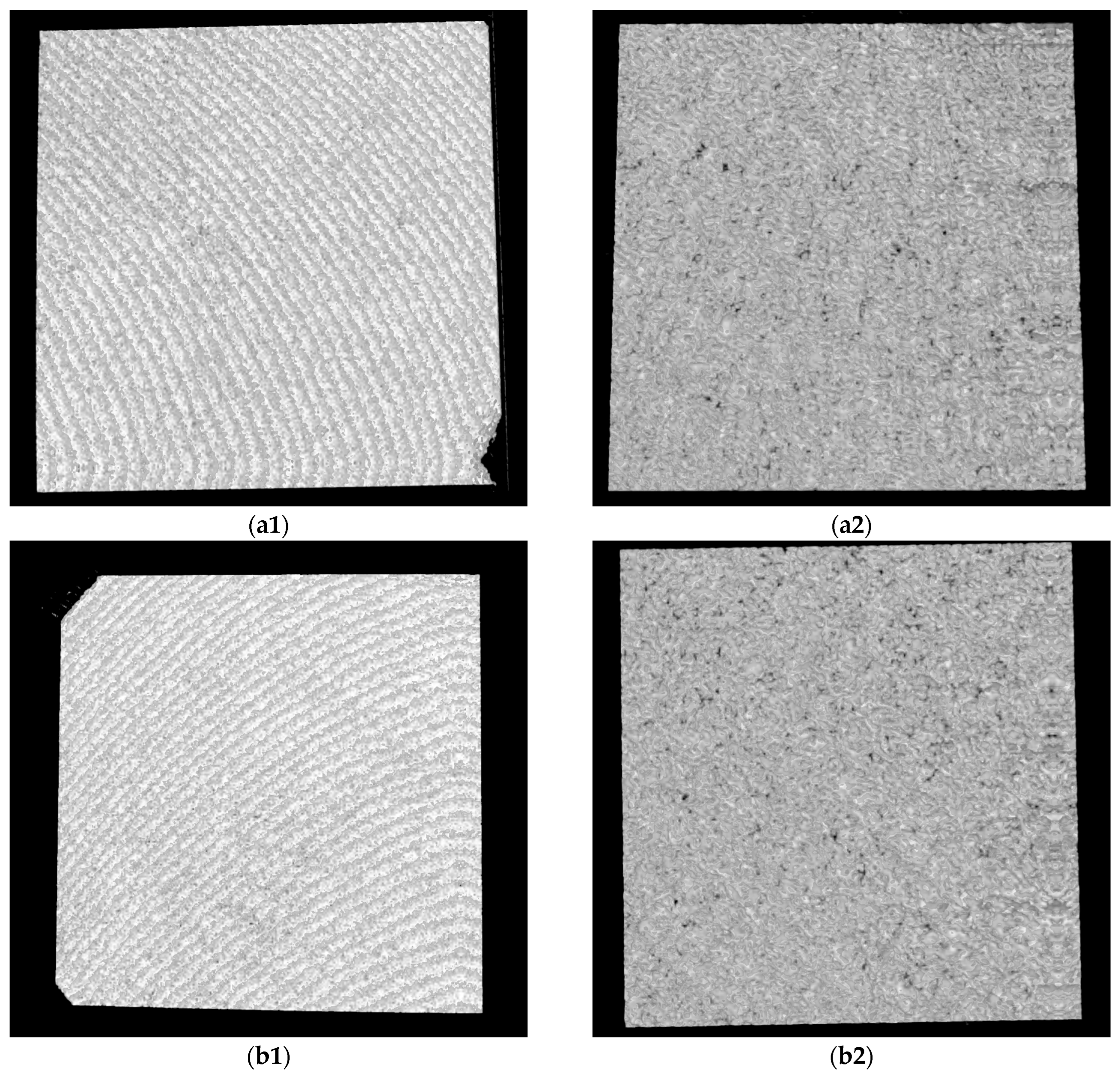 Microorganisms 12 01345 g011a