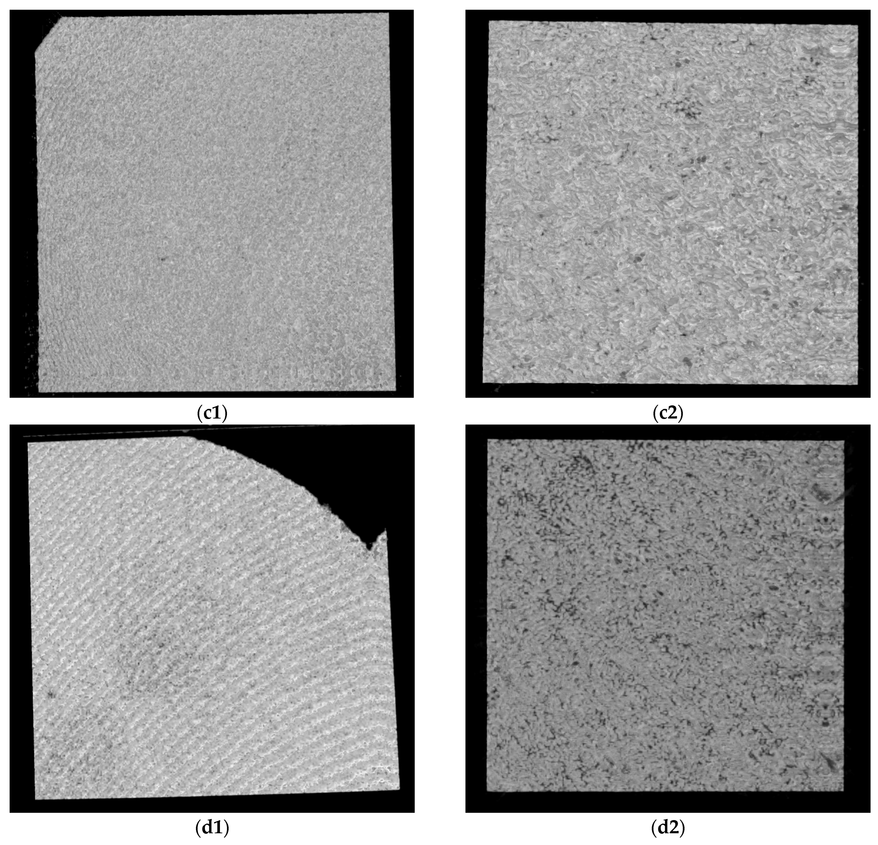 Microorganisms 12 01345 g011b
