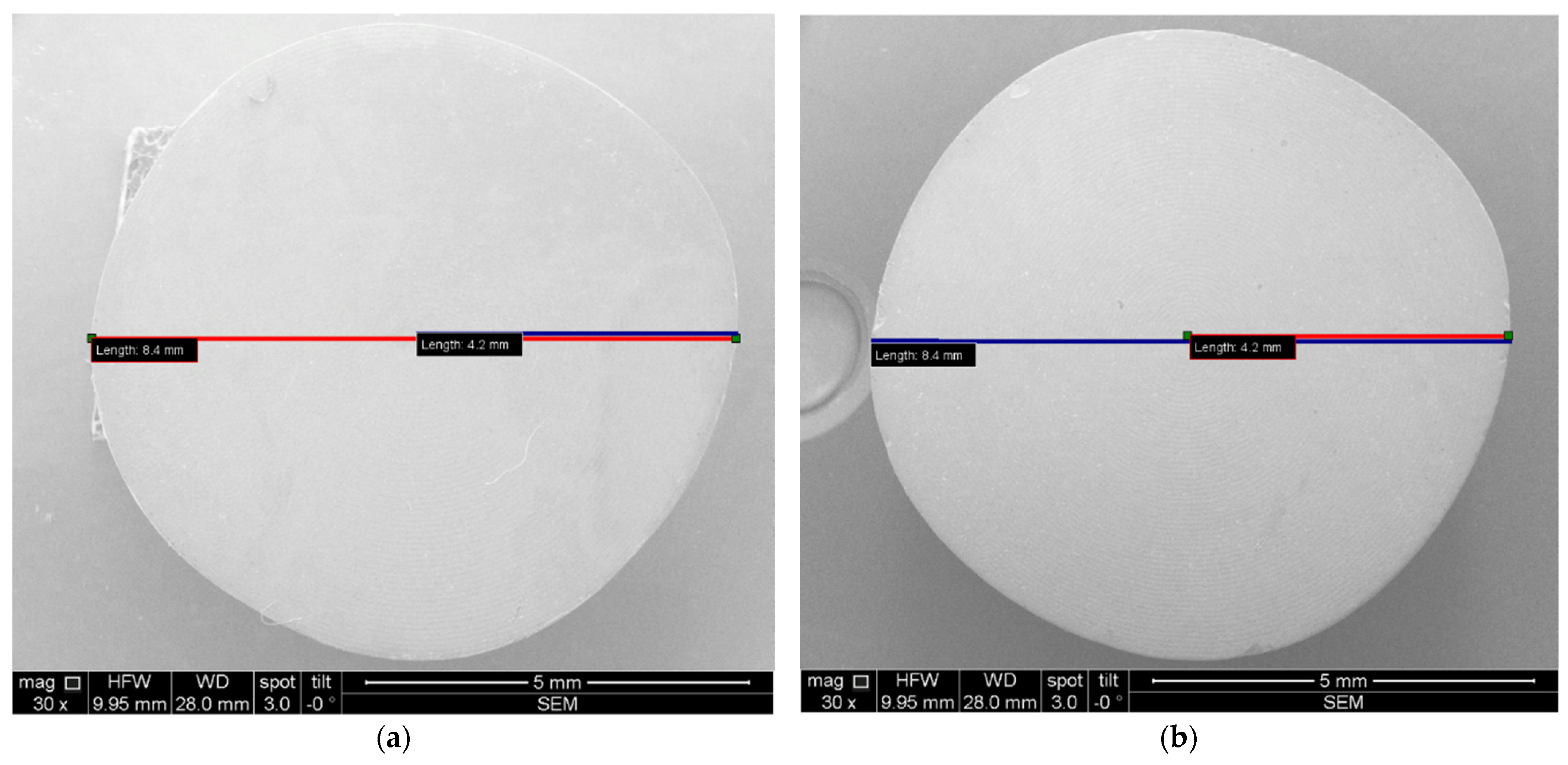 Microorganisms 12 01345 g012