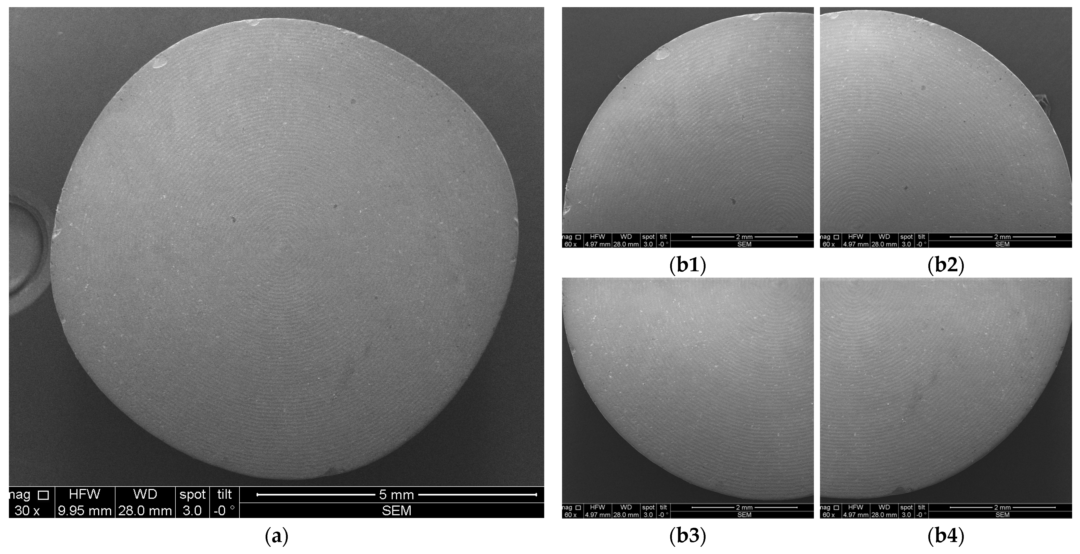 Microorganisms 12 01345 g013