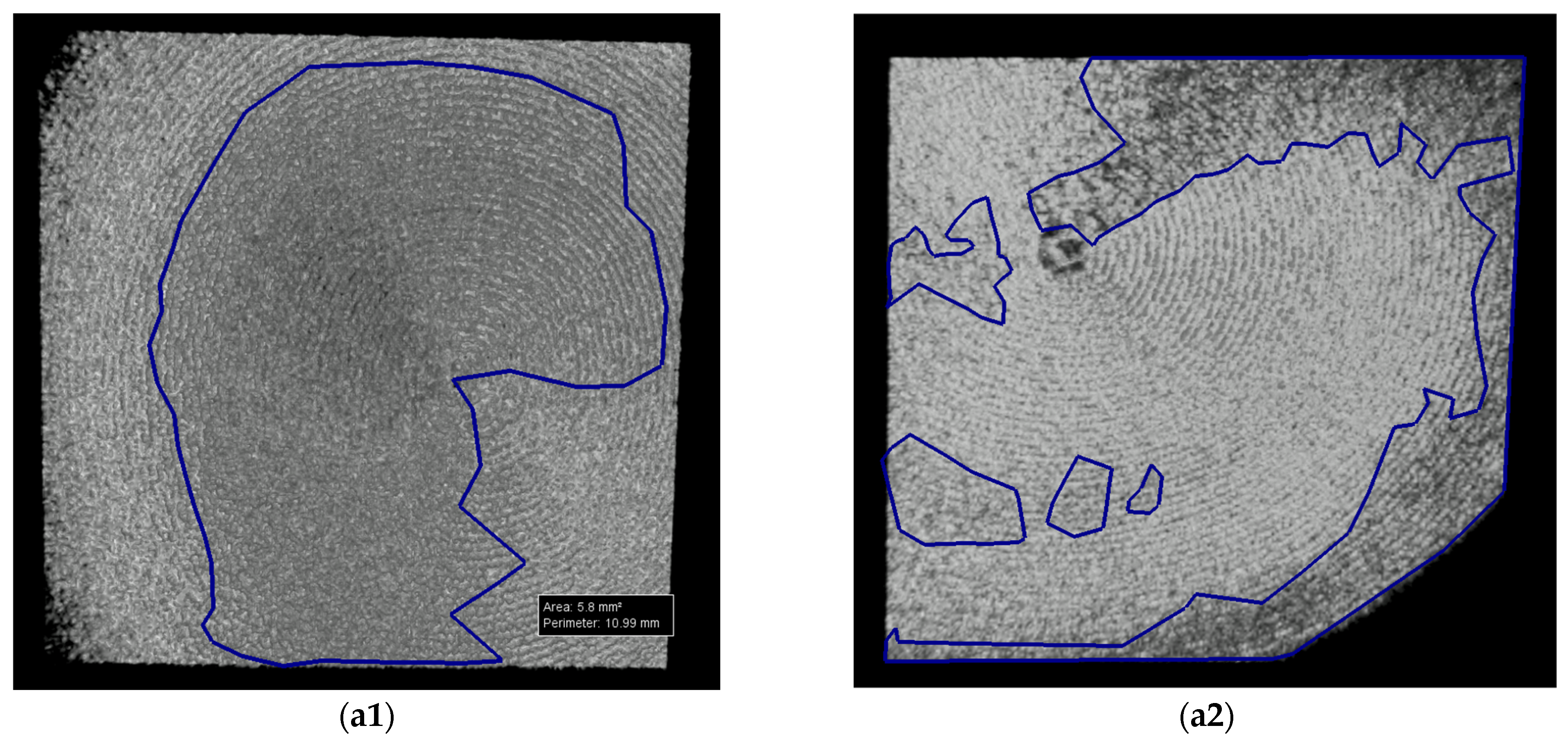 Microorganisms 12 01345 g016