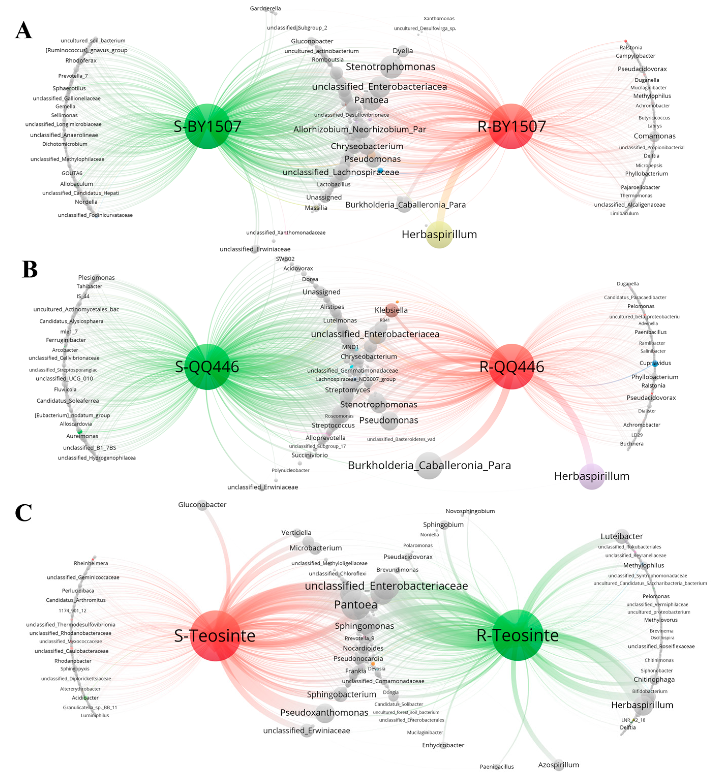 Microorganisms 12 01348 g007
