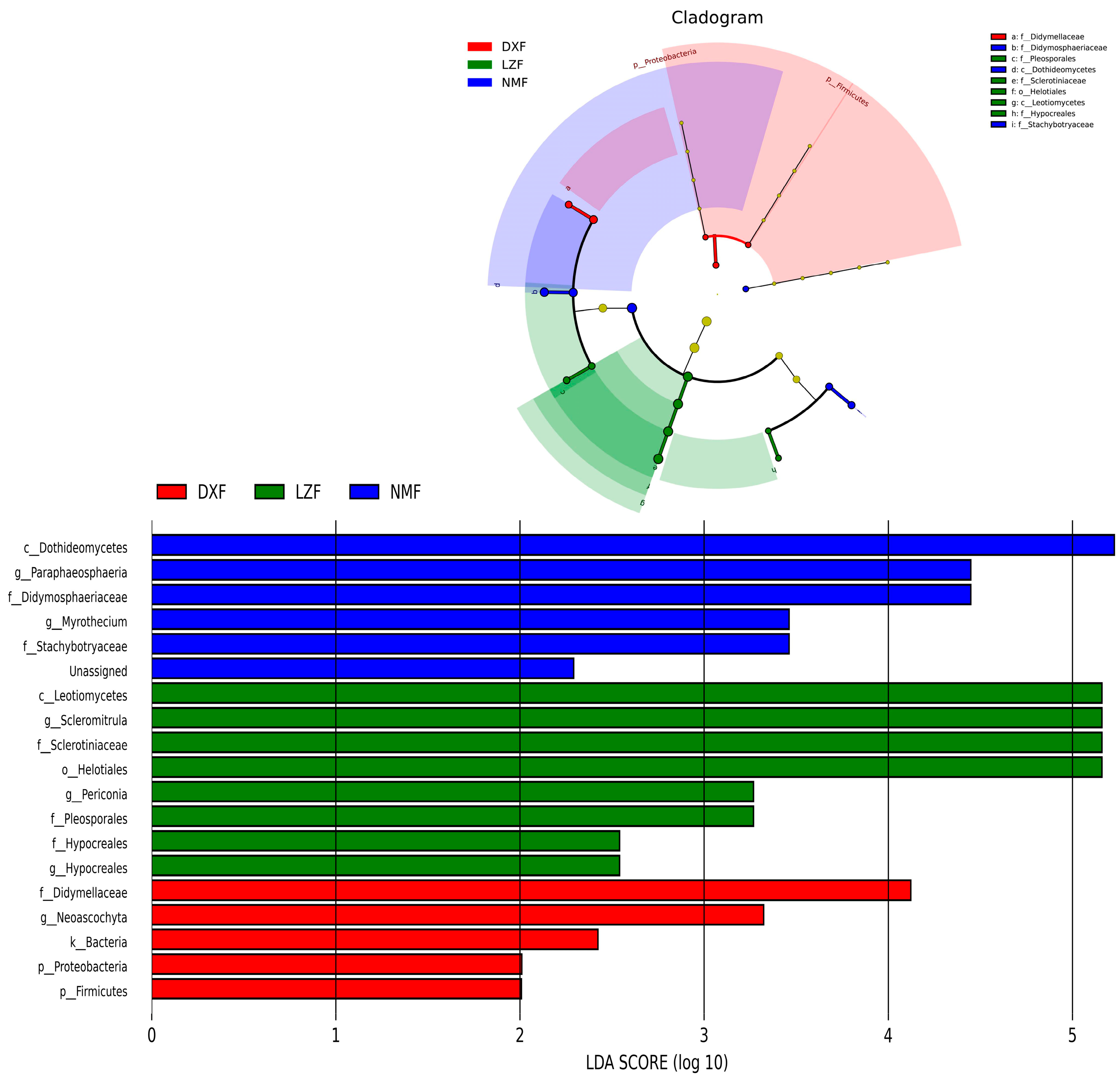 Microorganisms 12 01350 g007
