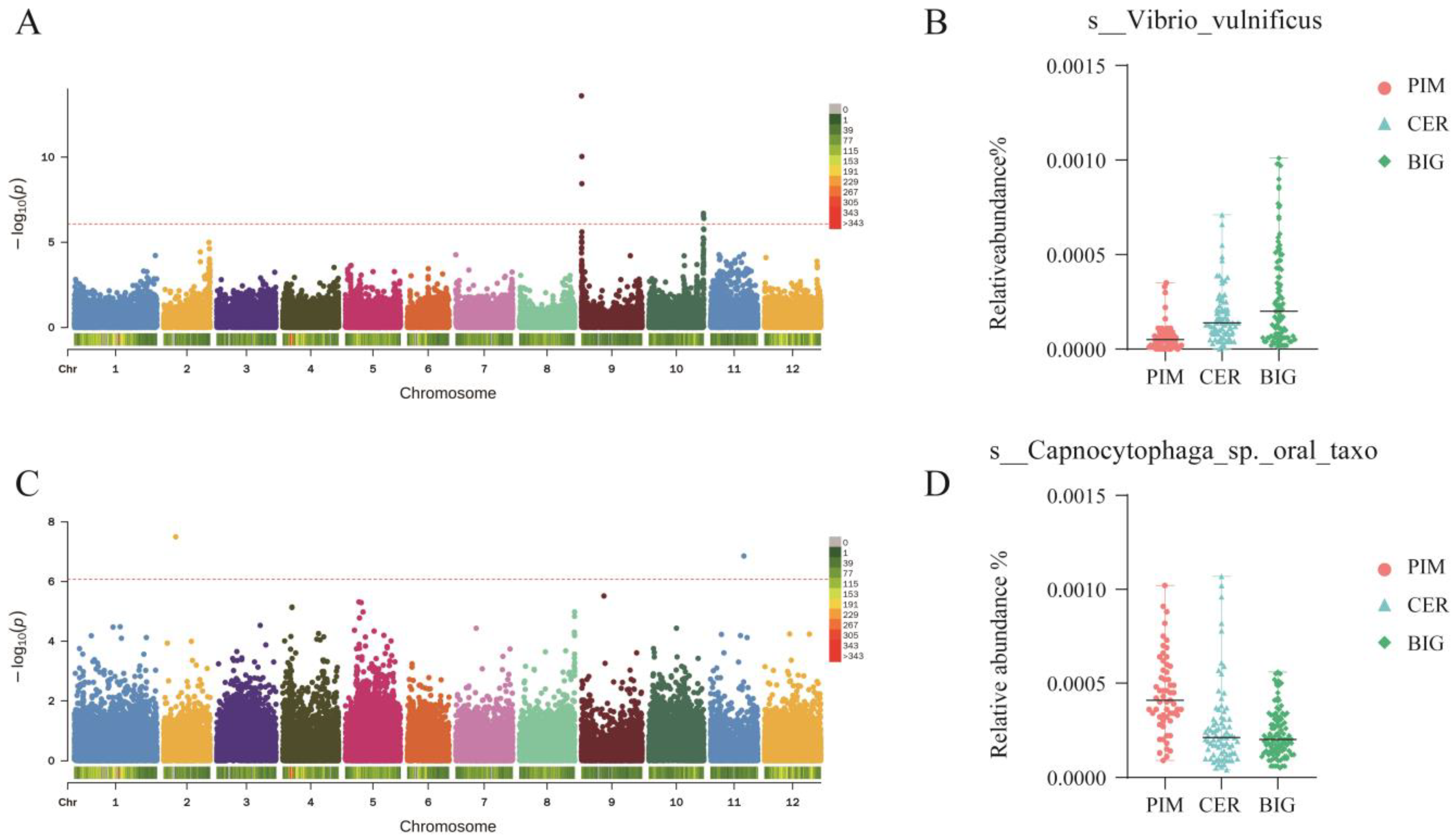 Microorganisms 12 01351 g007