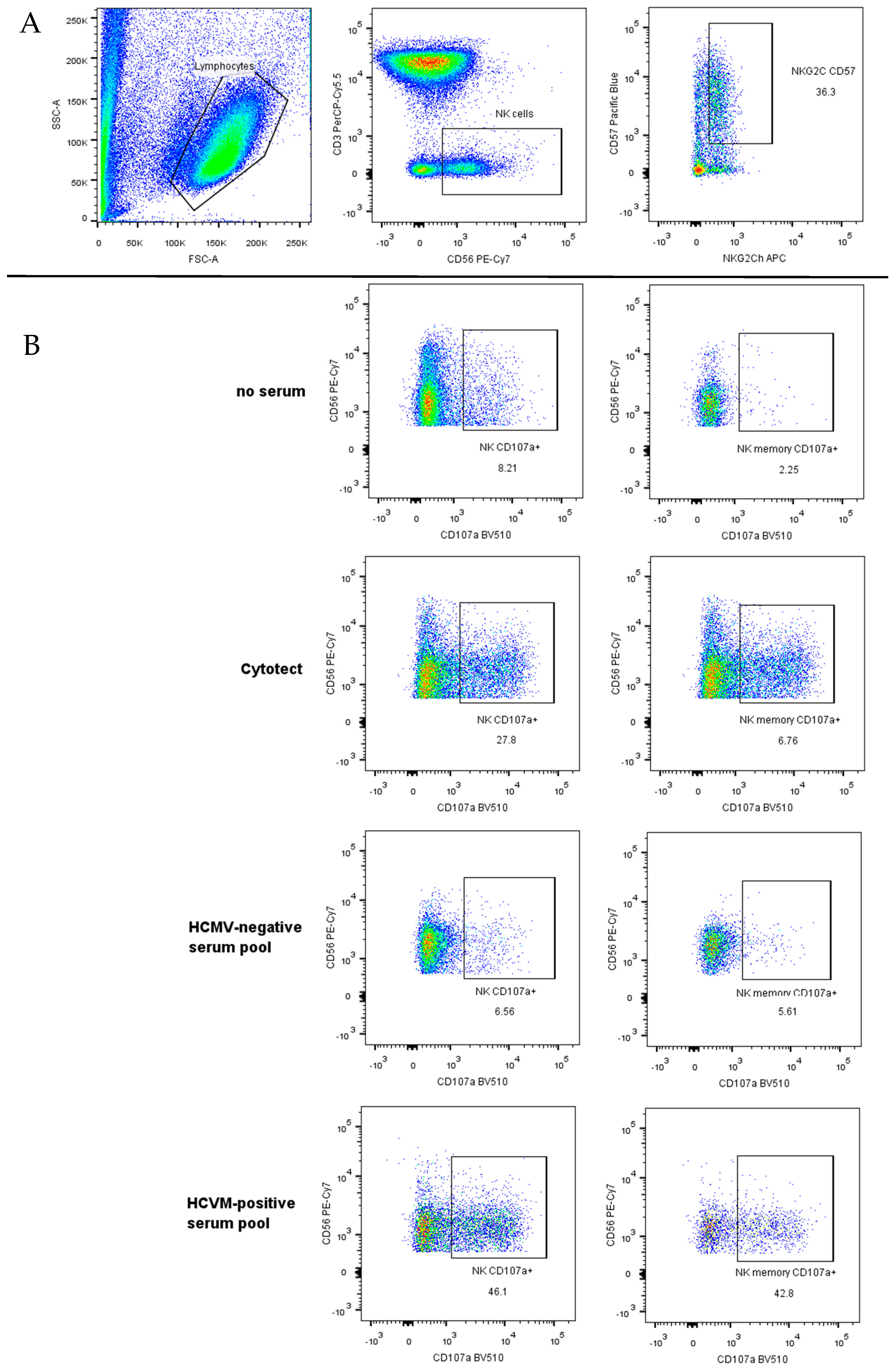 Microorganisms 12 01355 g001