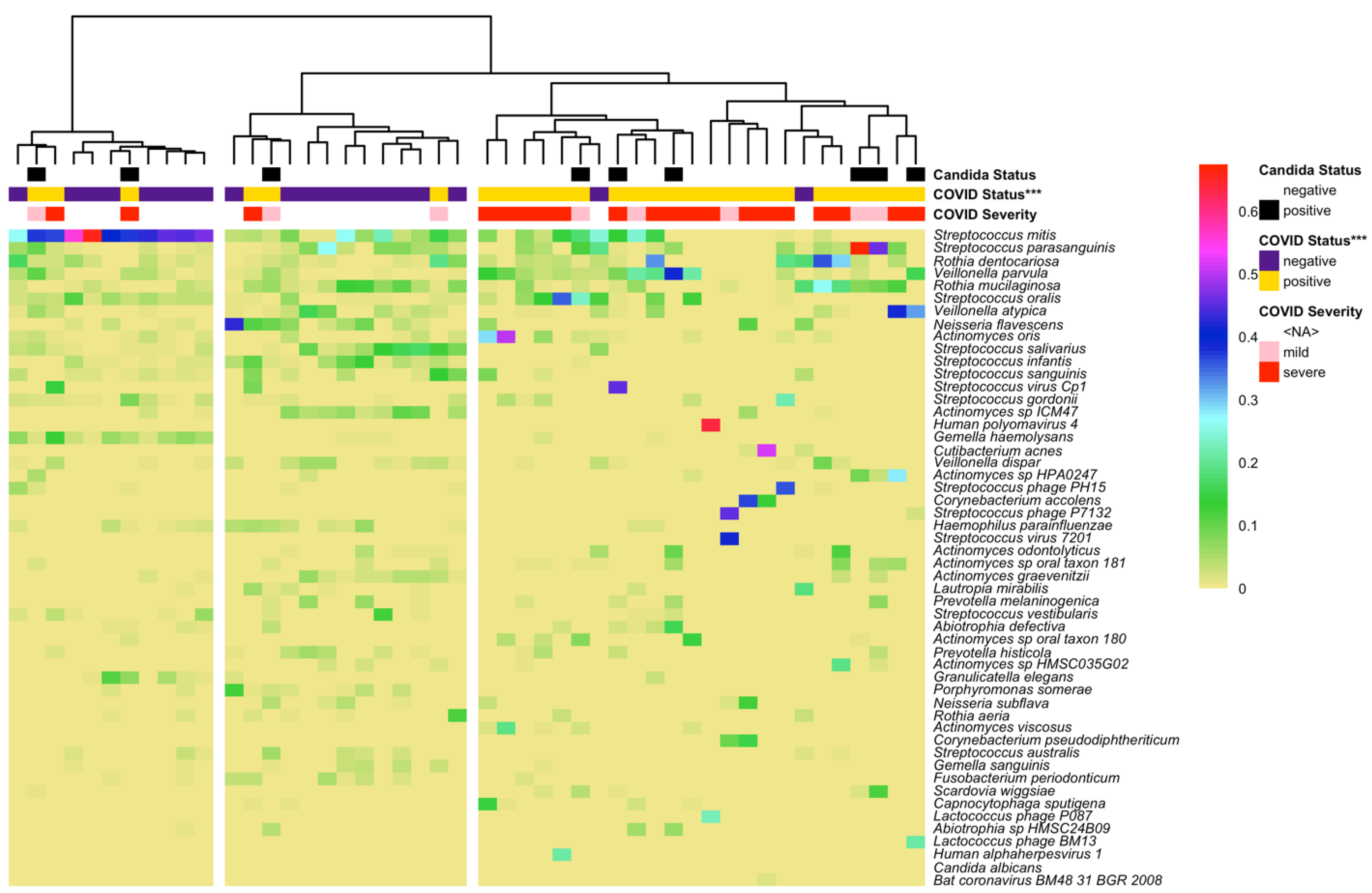 Microorganisms 12 01356 g003