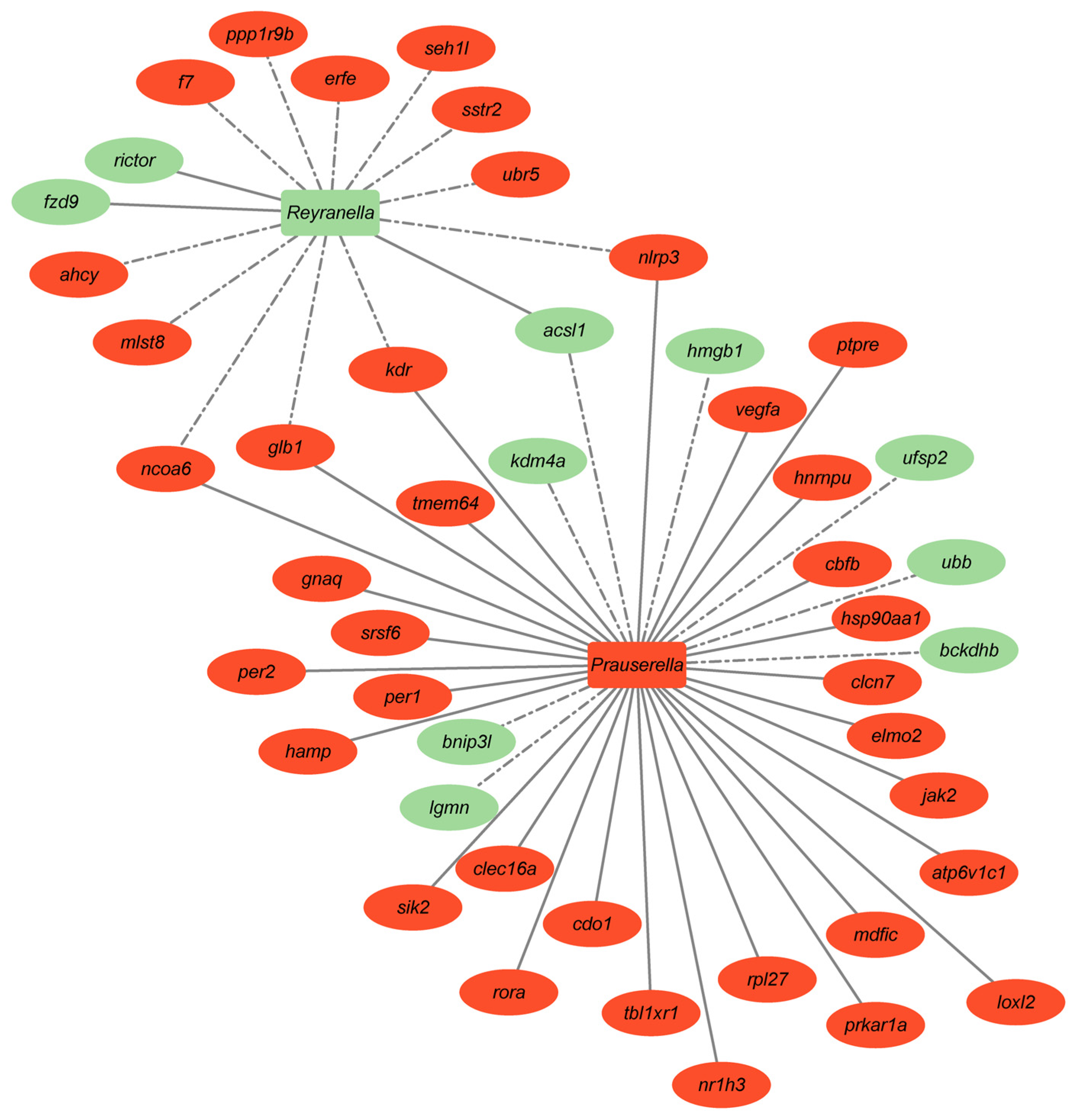 Microorganisms 12 01360 g008 Microorganisms 12 01360 g008