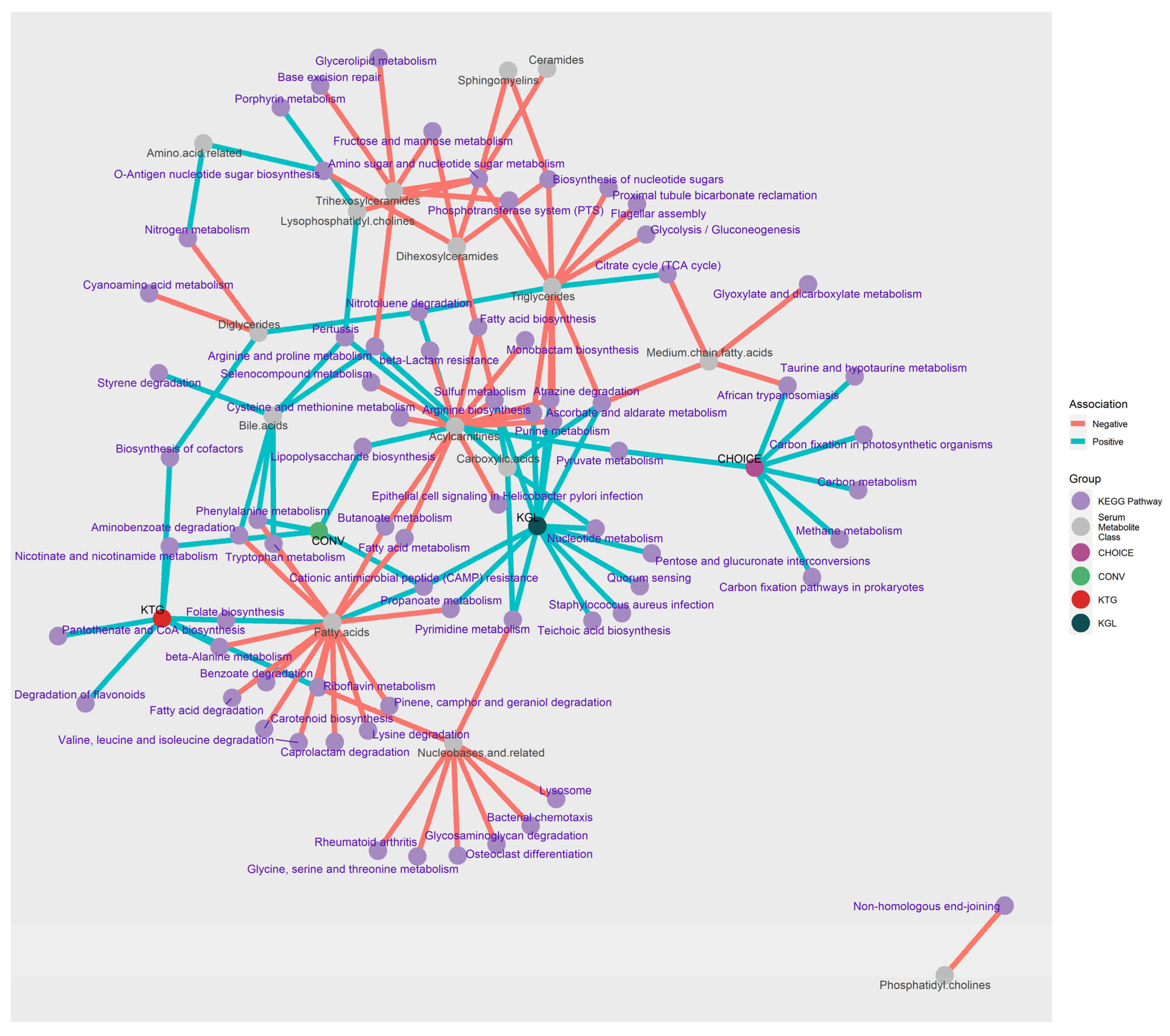 Microorganisms 12 01369 g004