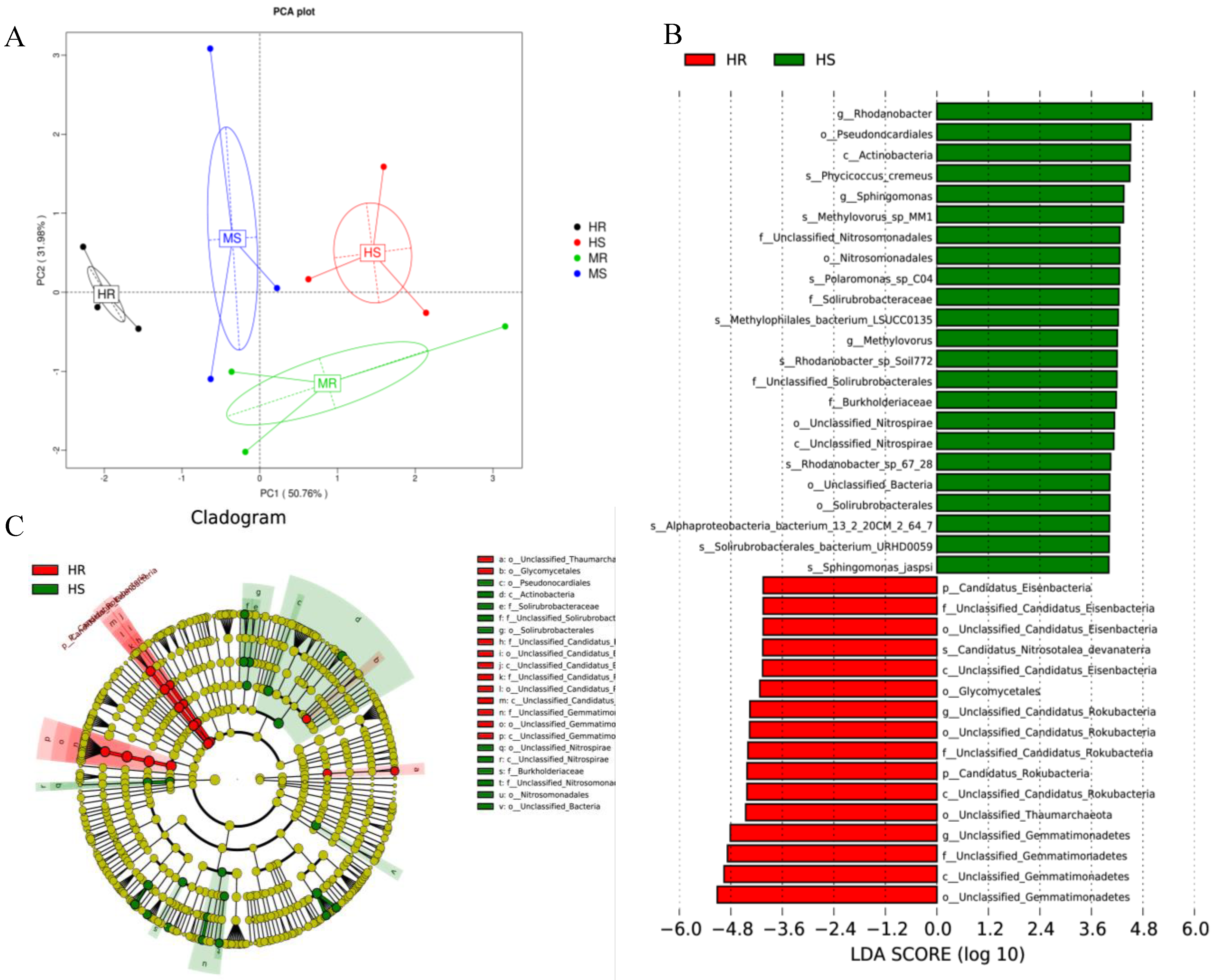 Microorganisms 12 01370 g004