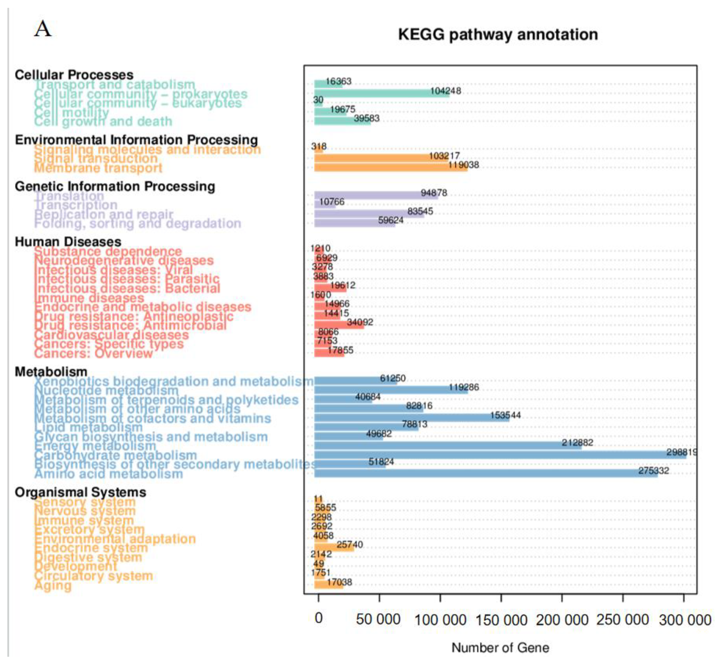 Microorganisms 12 01370 g005a