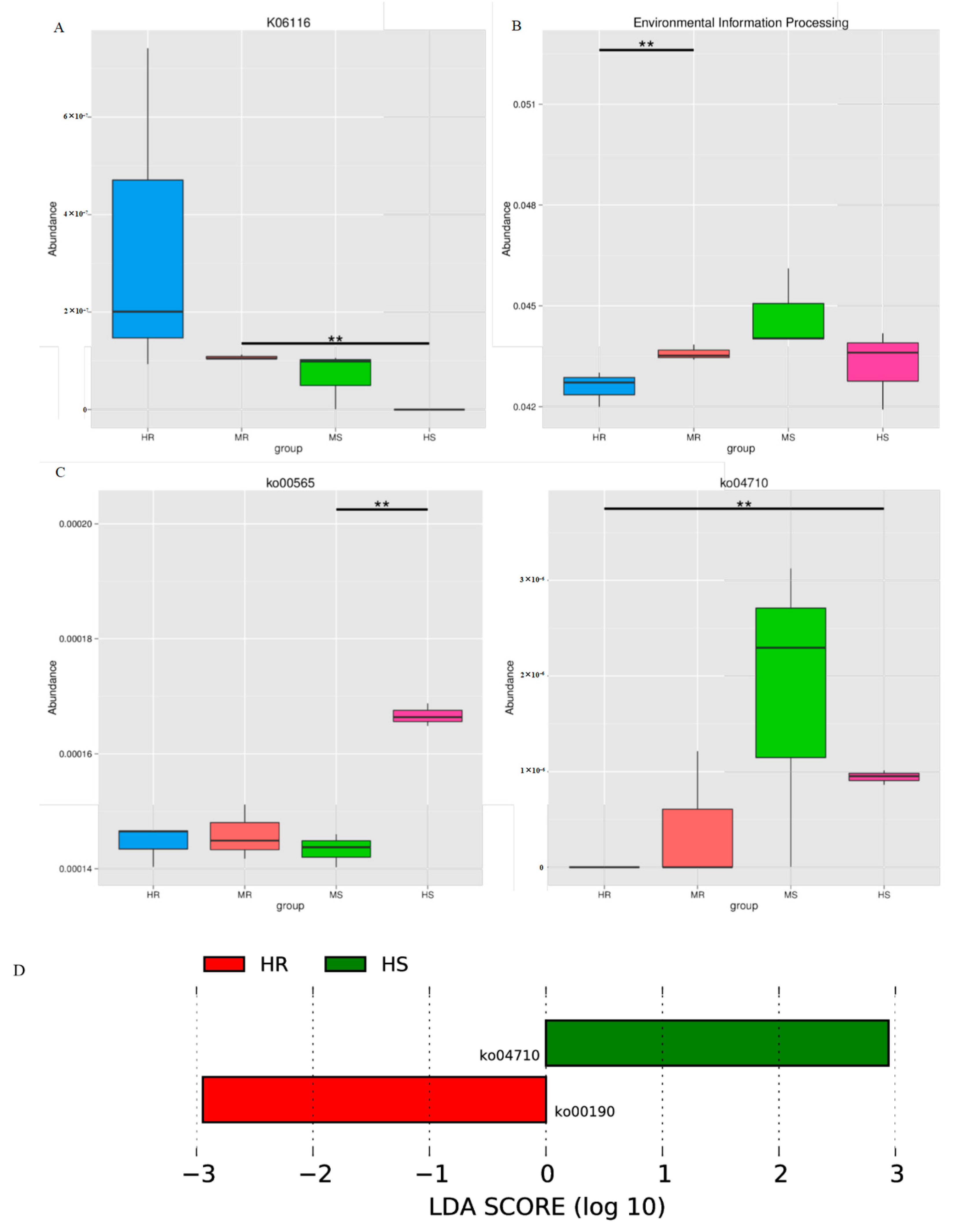 Microorganisms 12 01370 g006