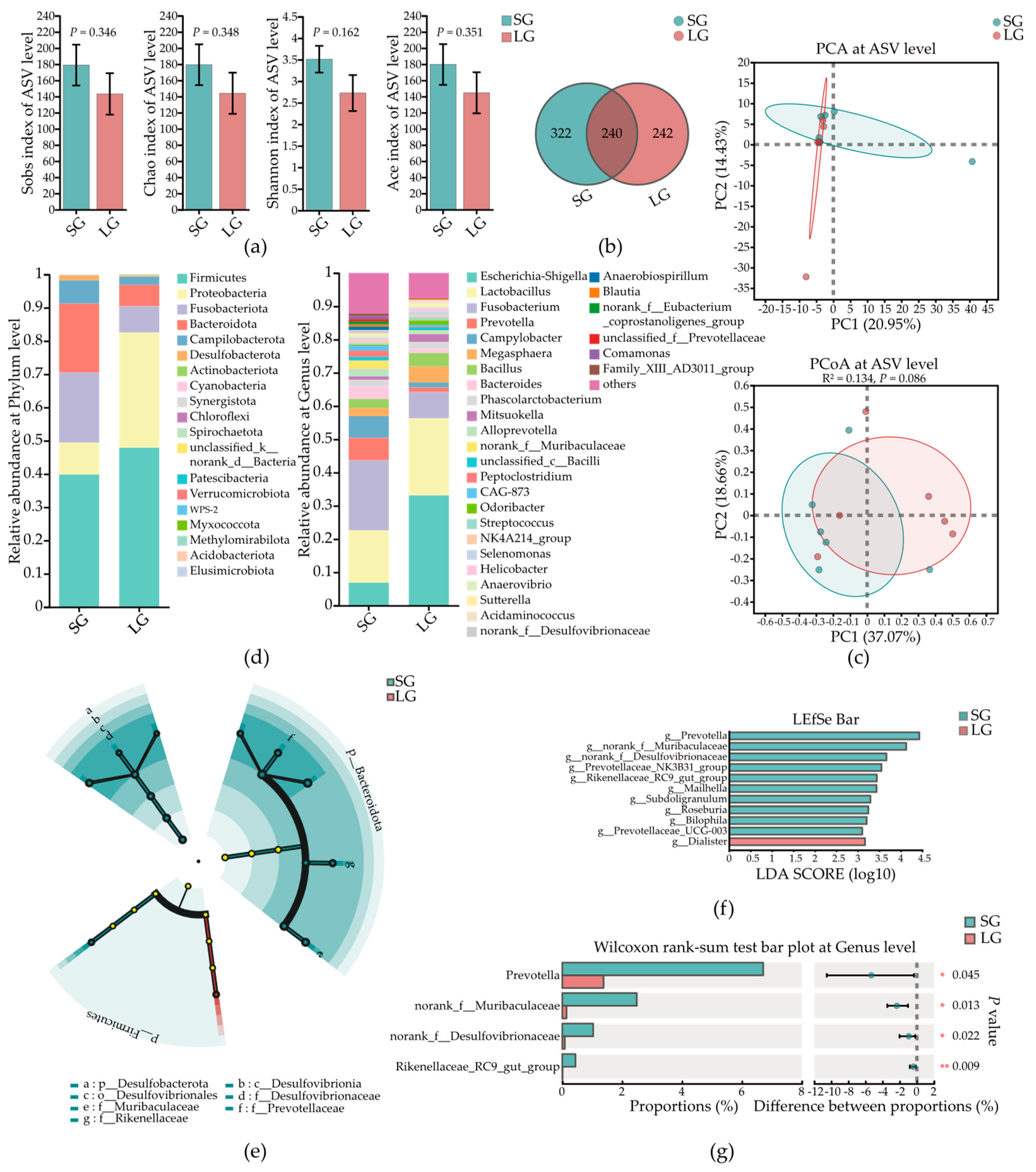 Microorganisms 12 01371 g004