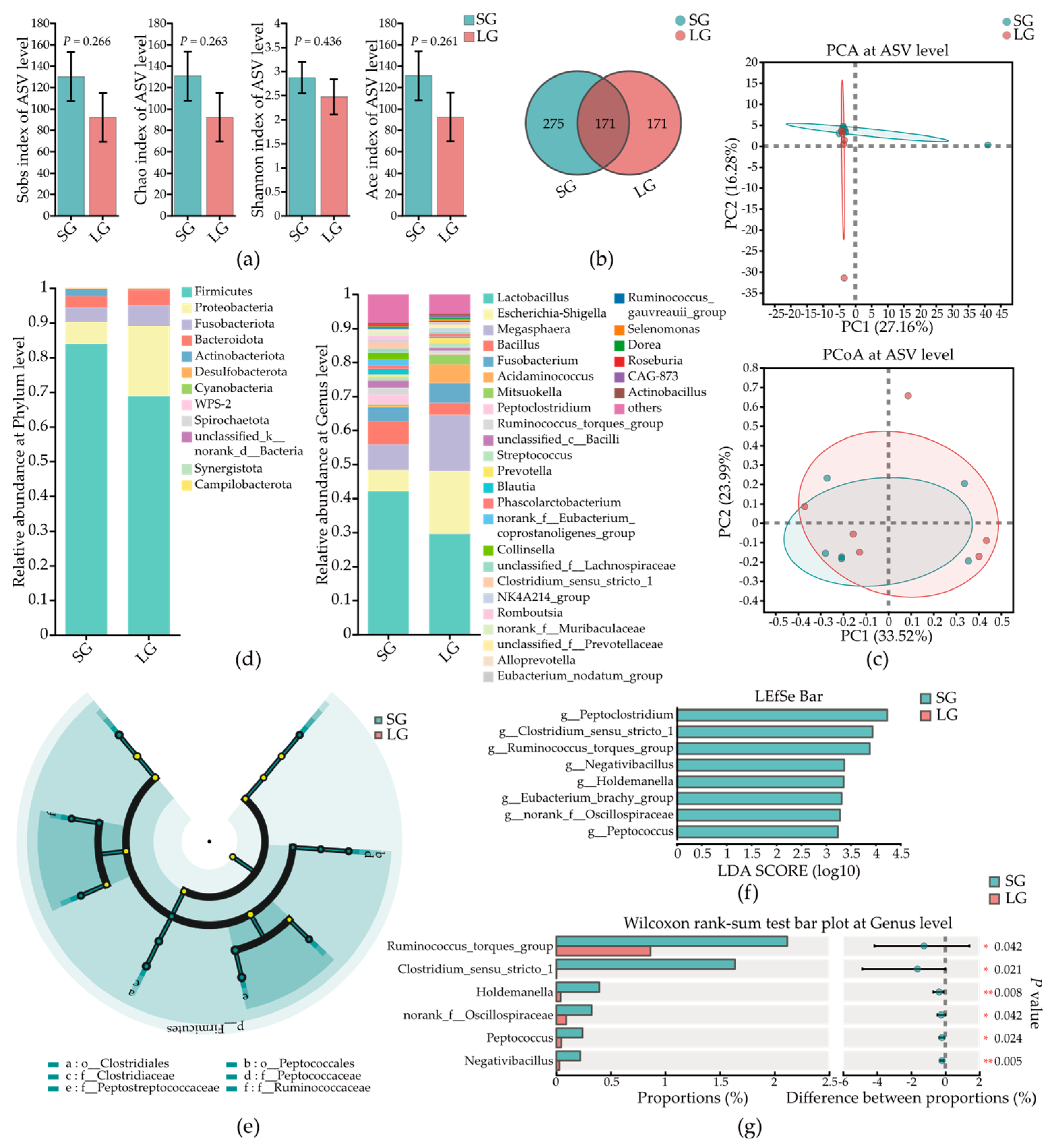 Microorganisms 12 01371 g005