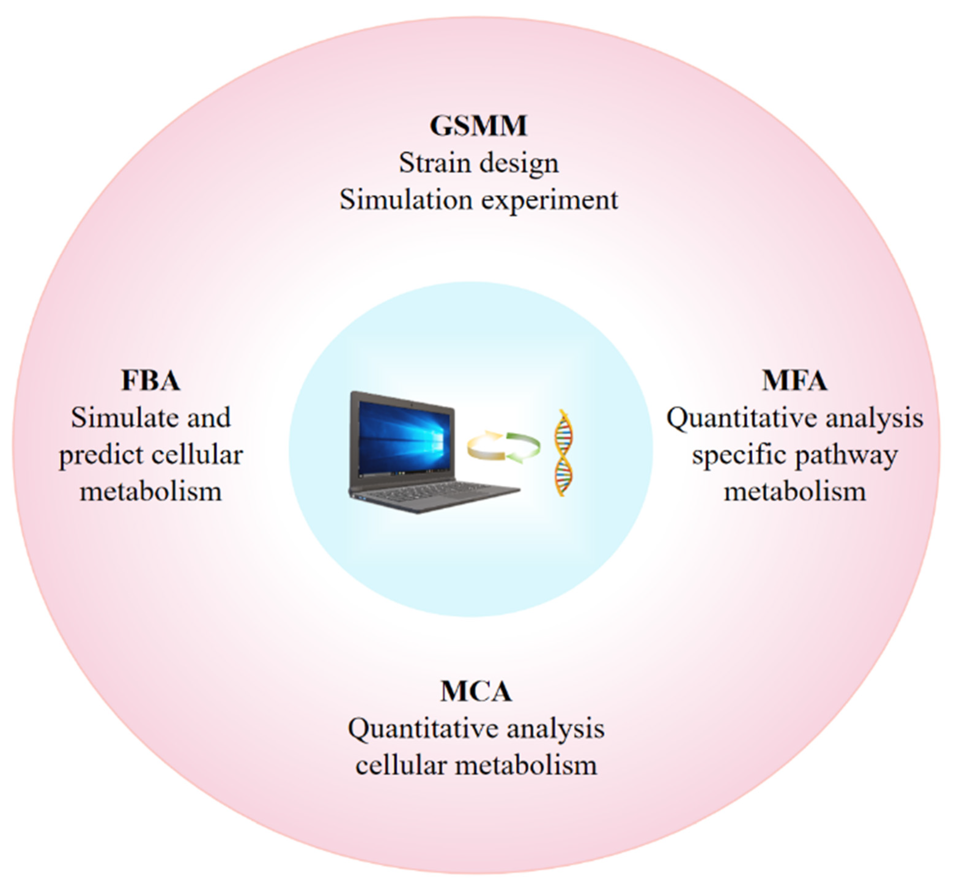 Microorganisms 12 01375 g001