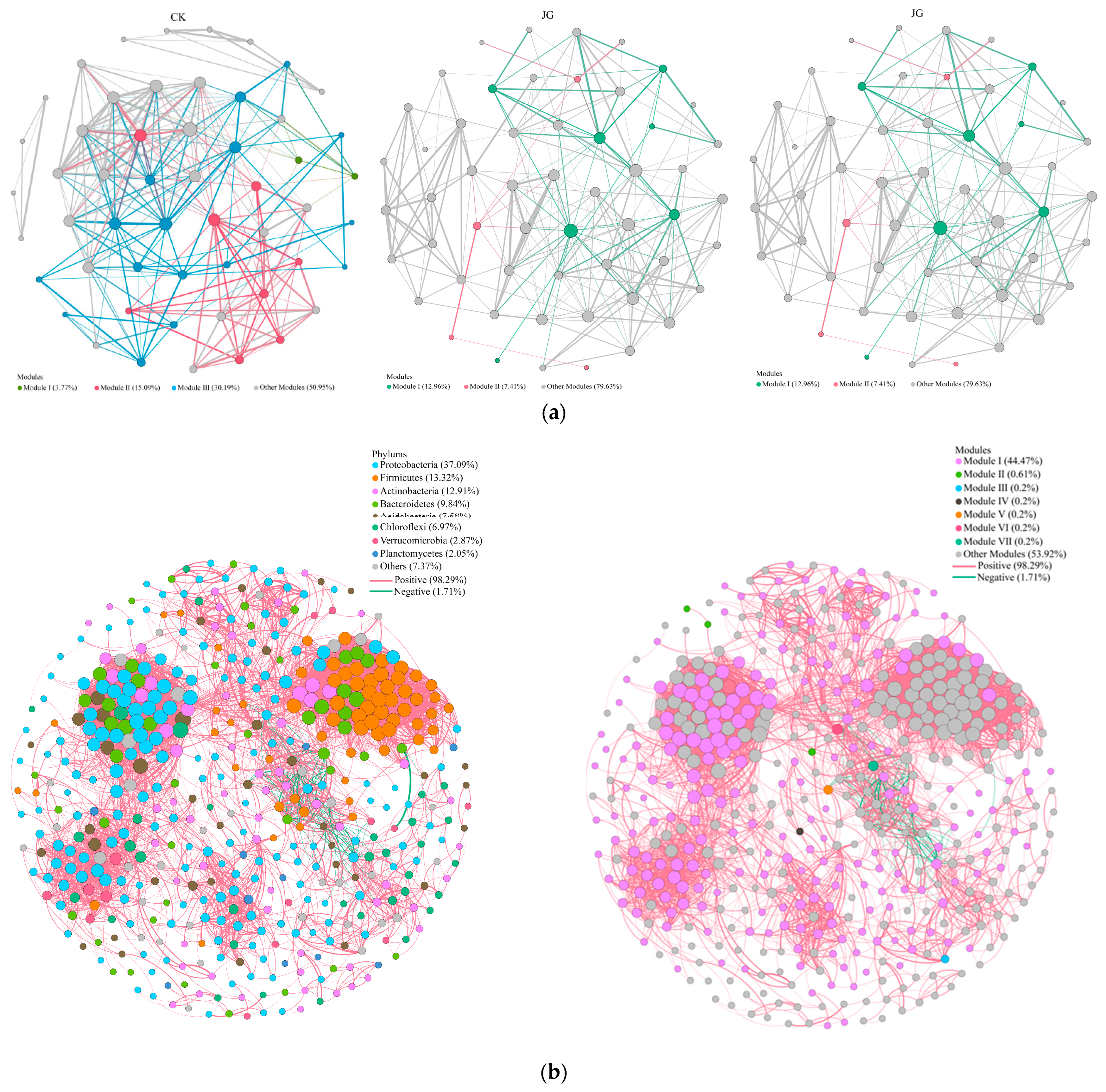 Microorganisms 12 01376 g005a