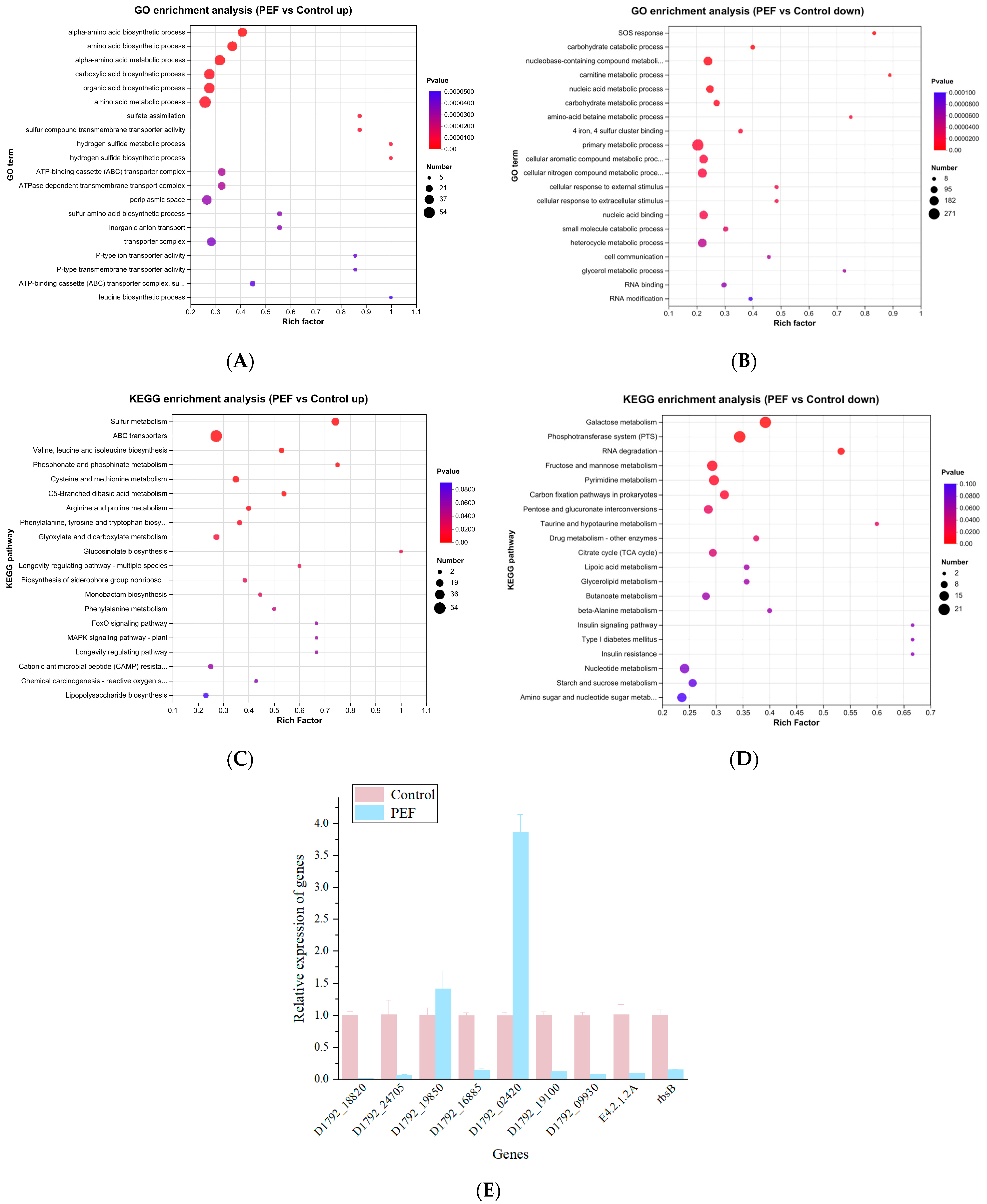 Microorganisms 12 01380 g006