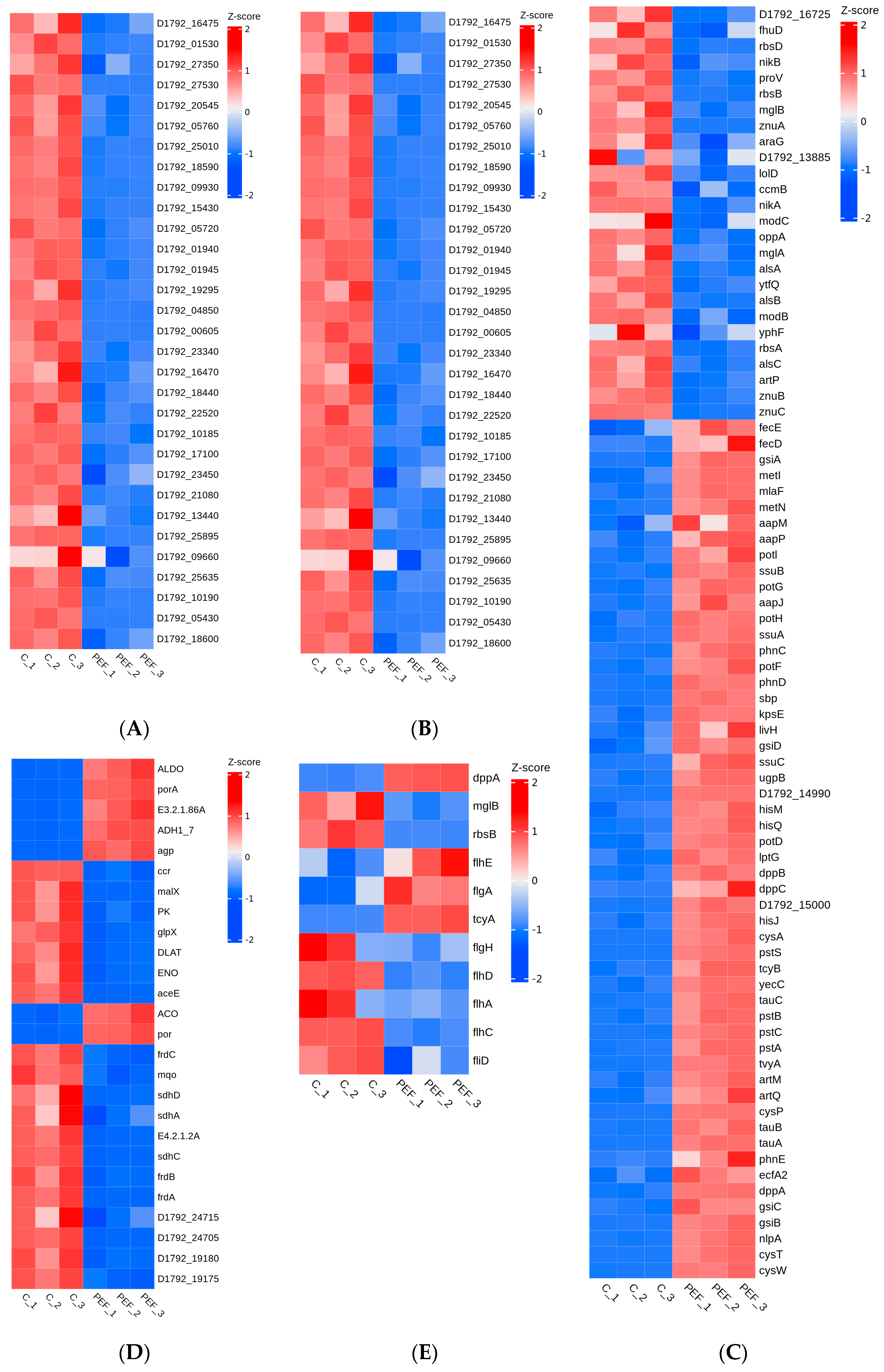 Microorganisms 12 01380 g007