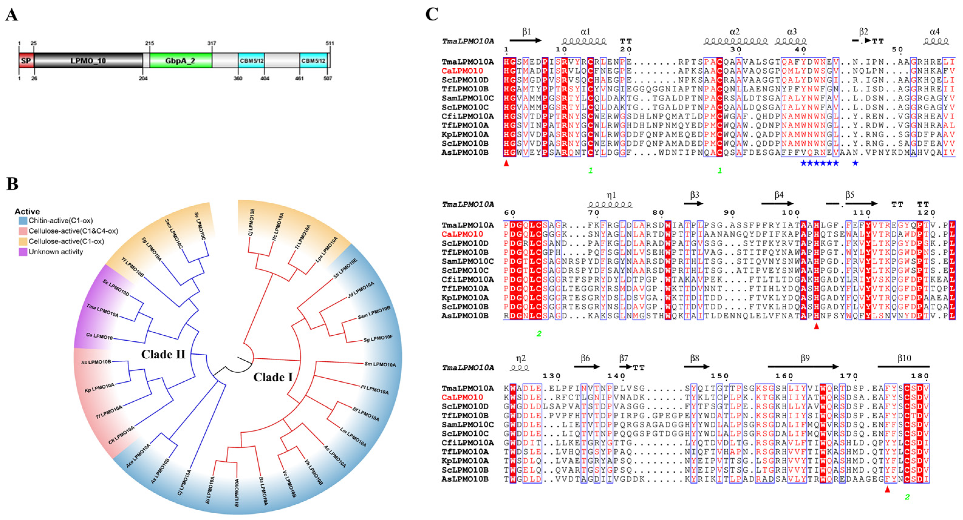 Microorganisms 12 01381 g001