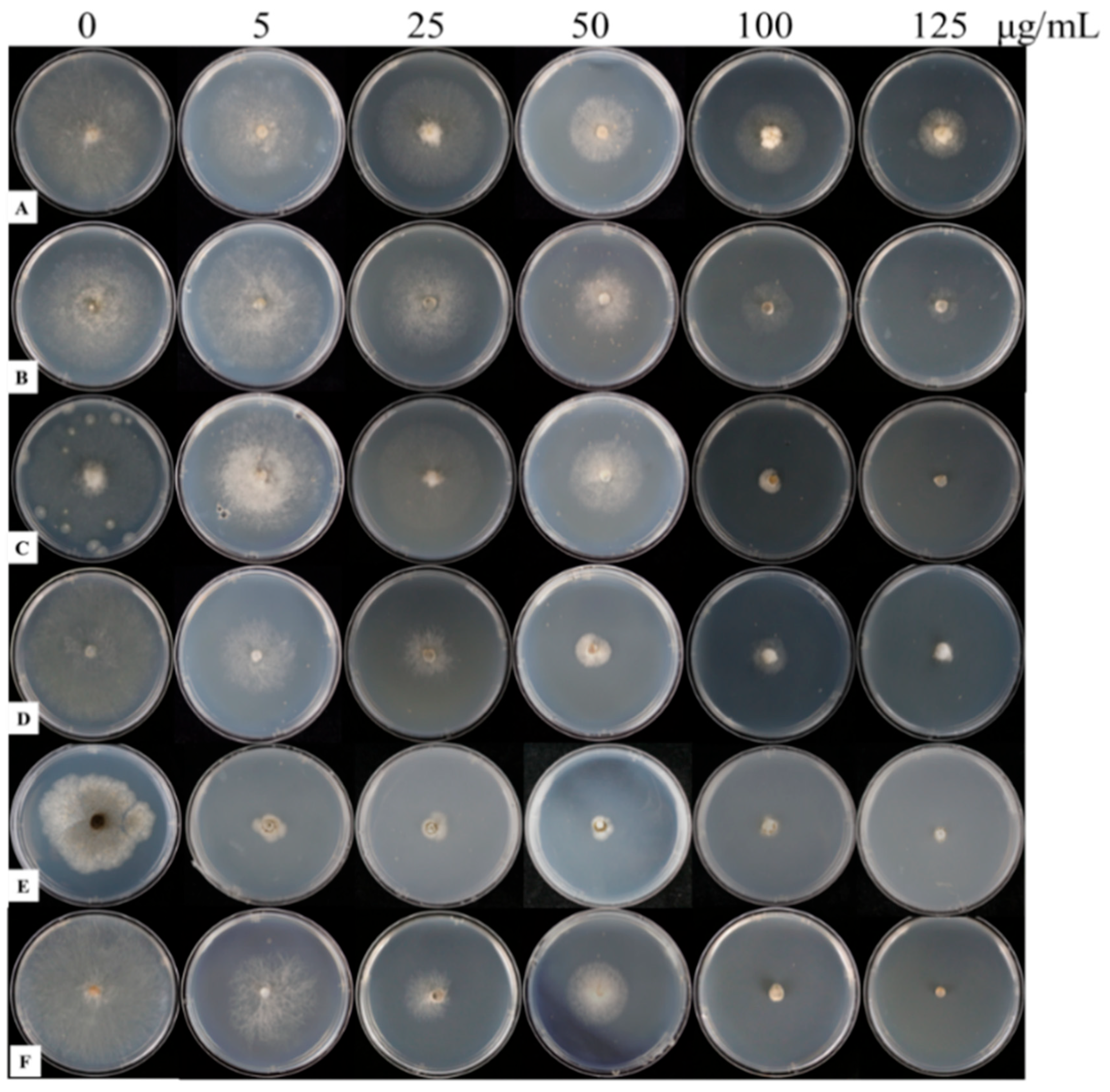 Microorganisms 12 01383 g005