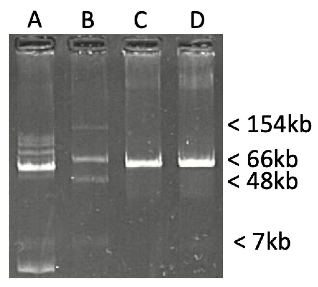 Microorganisms 12 01391 g001