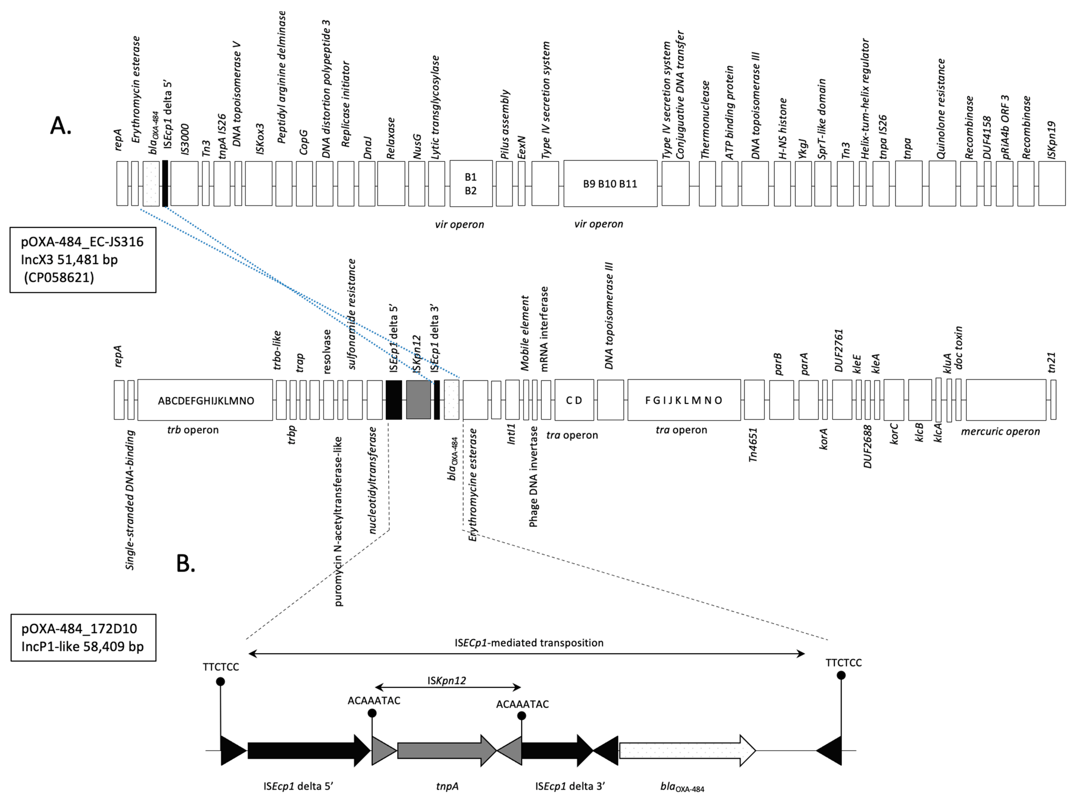 Microorganisms 12 01391 g002