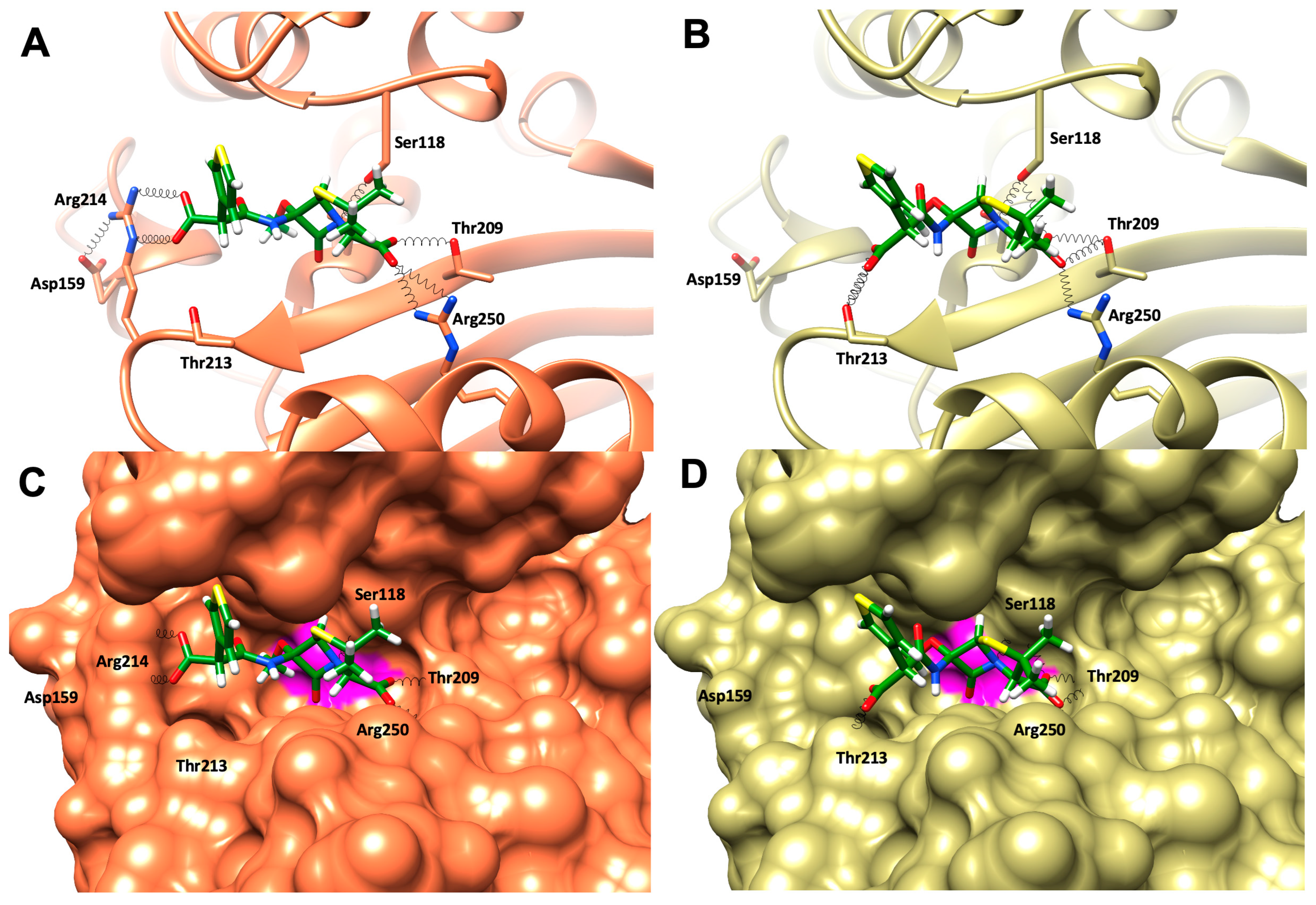 Microorganisms 12 01391 g004