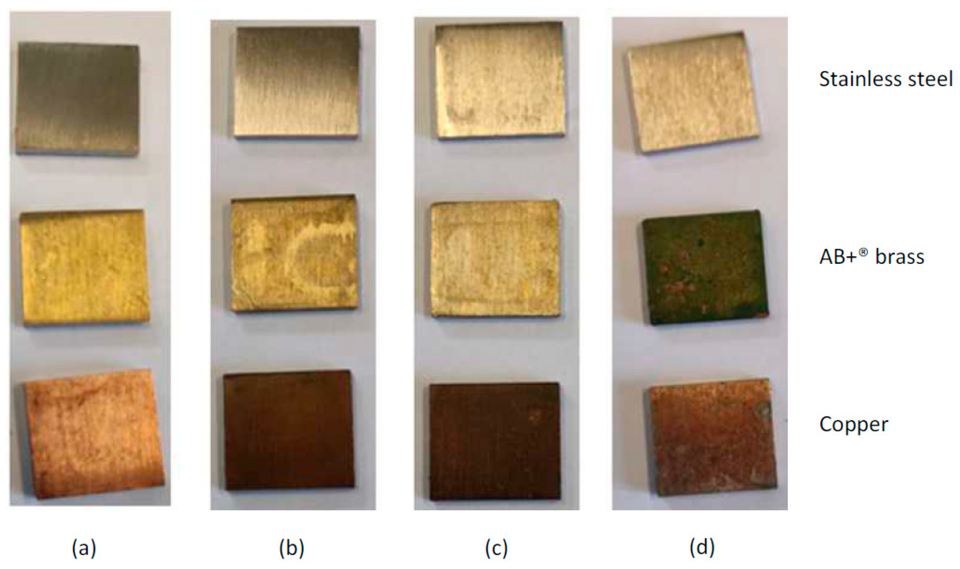 Microorganisms 12 01393 g001